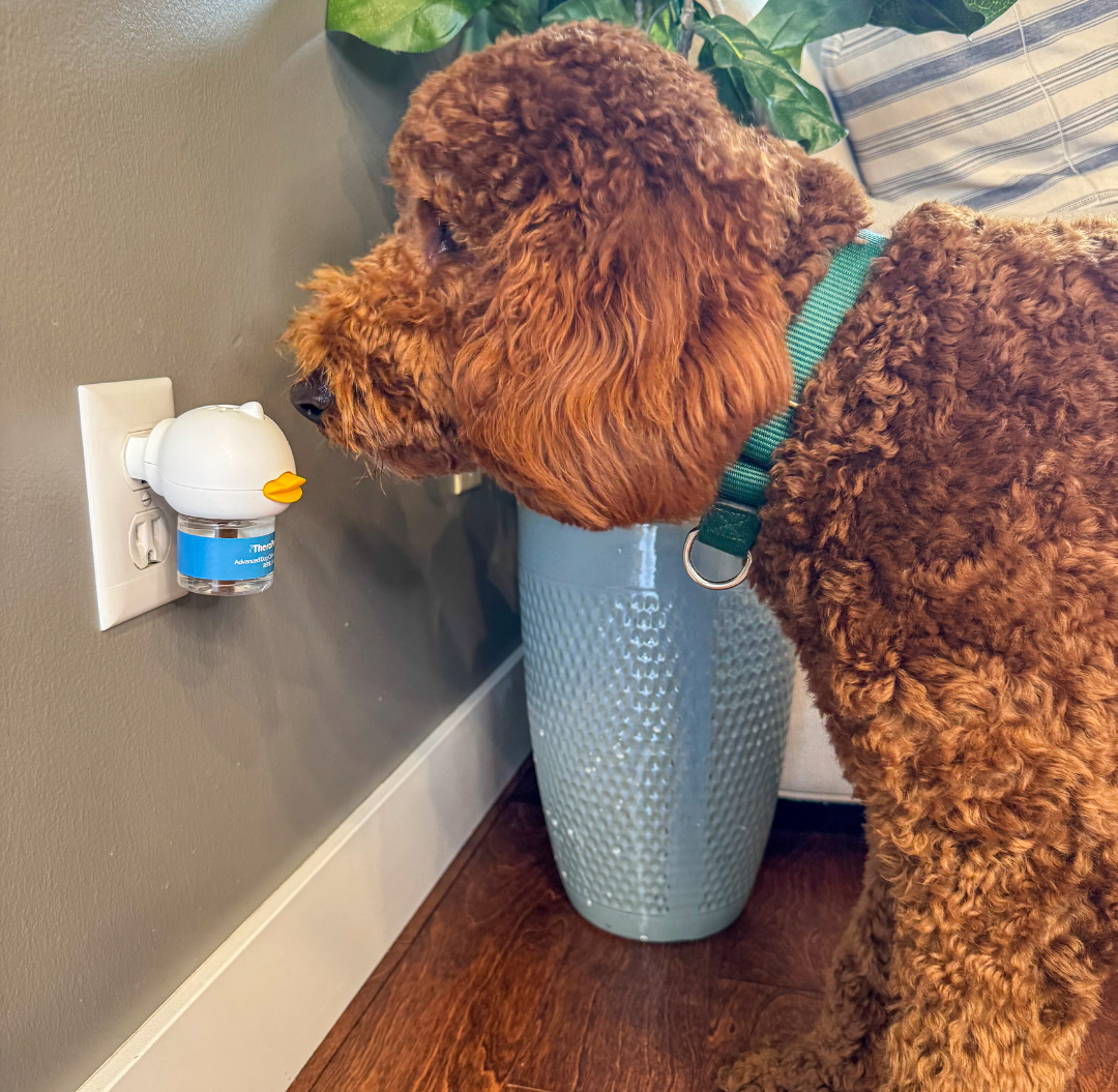 Vet approved products