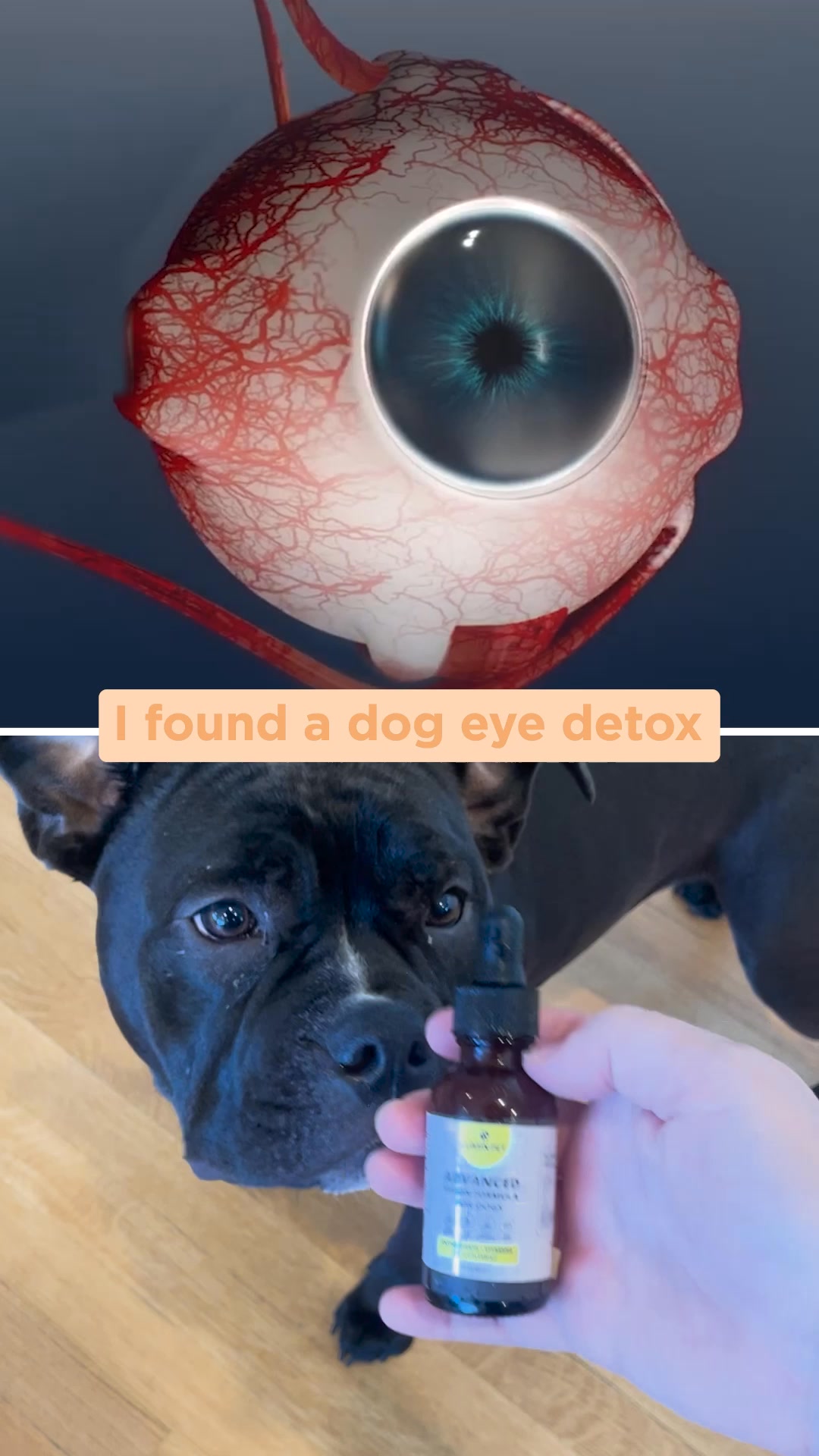 AuraPets Vision Essentials