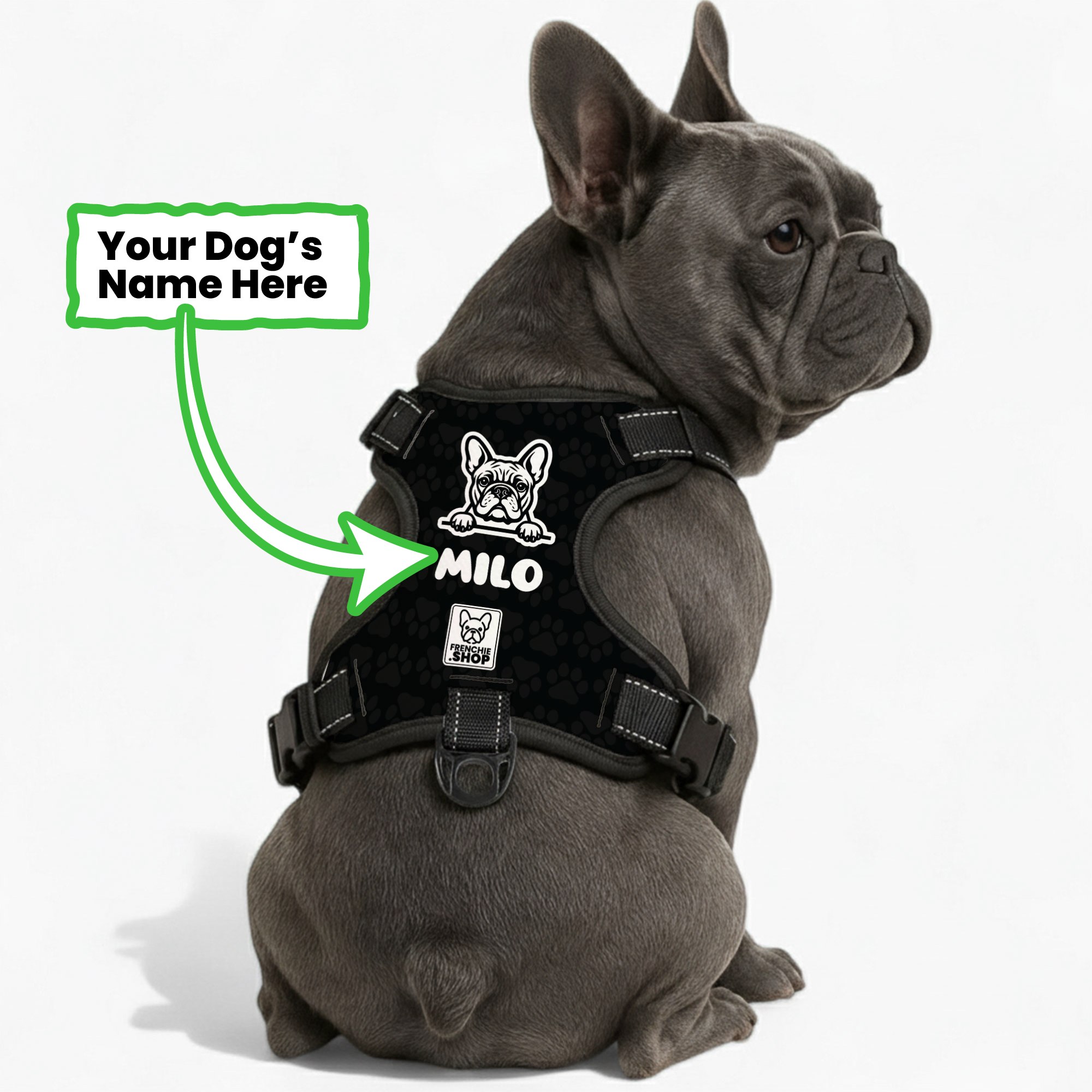 Frenchie Shop