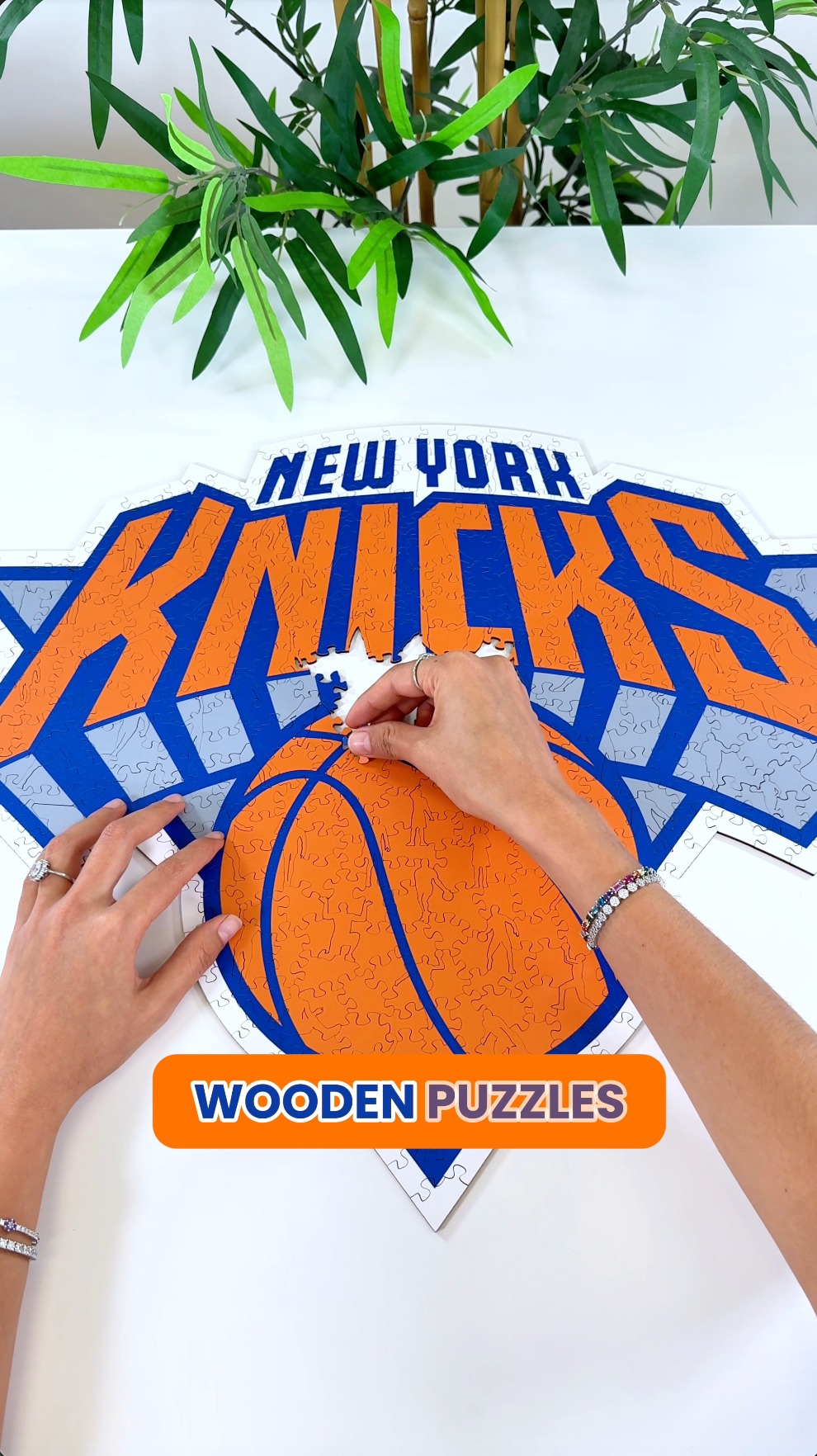 Iconic Puzzles