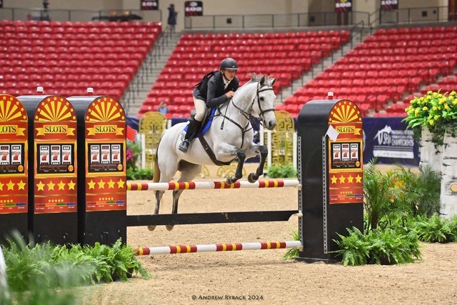 100X Equine