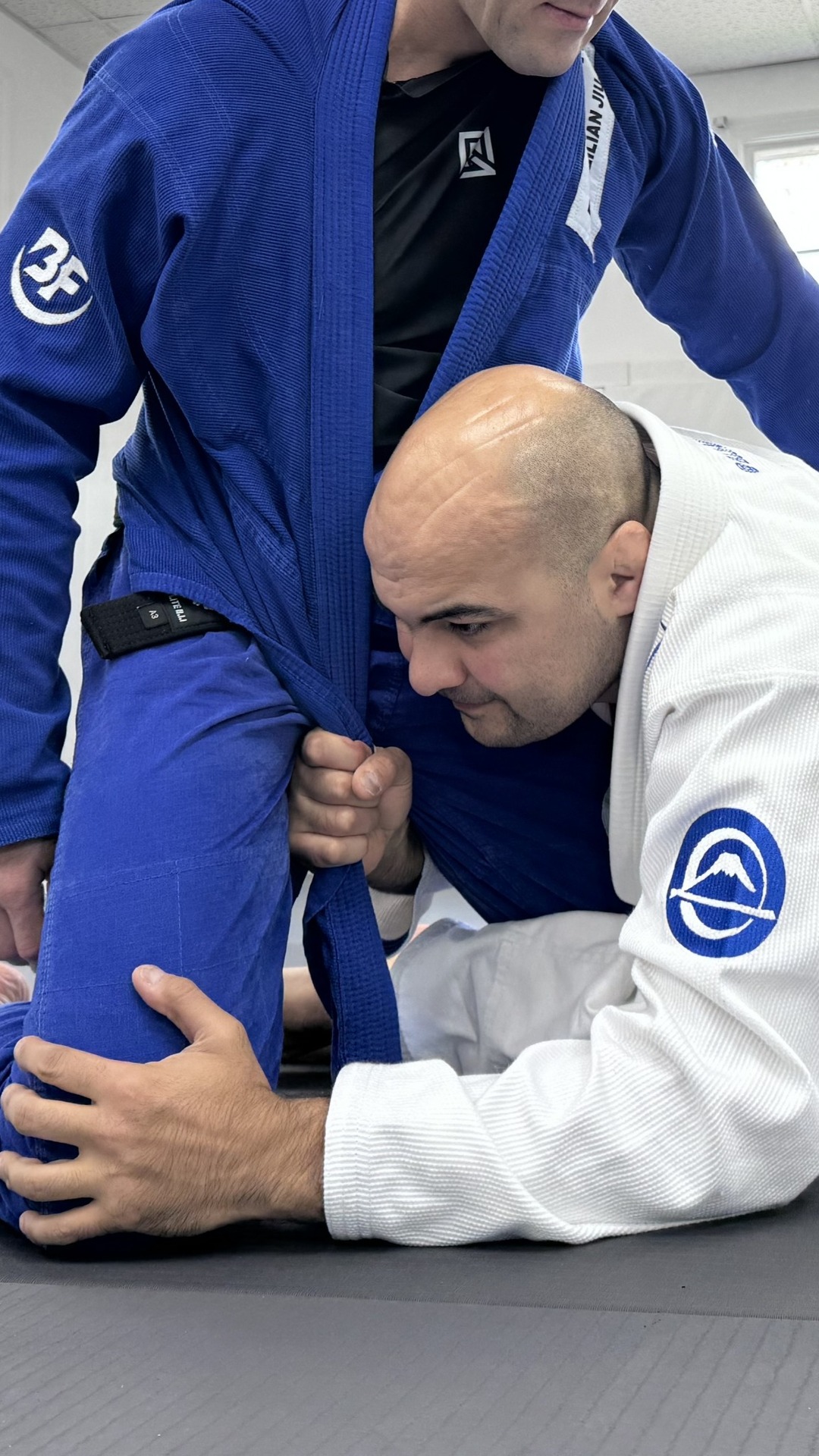 BJJ Fanatics Online Store