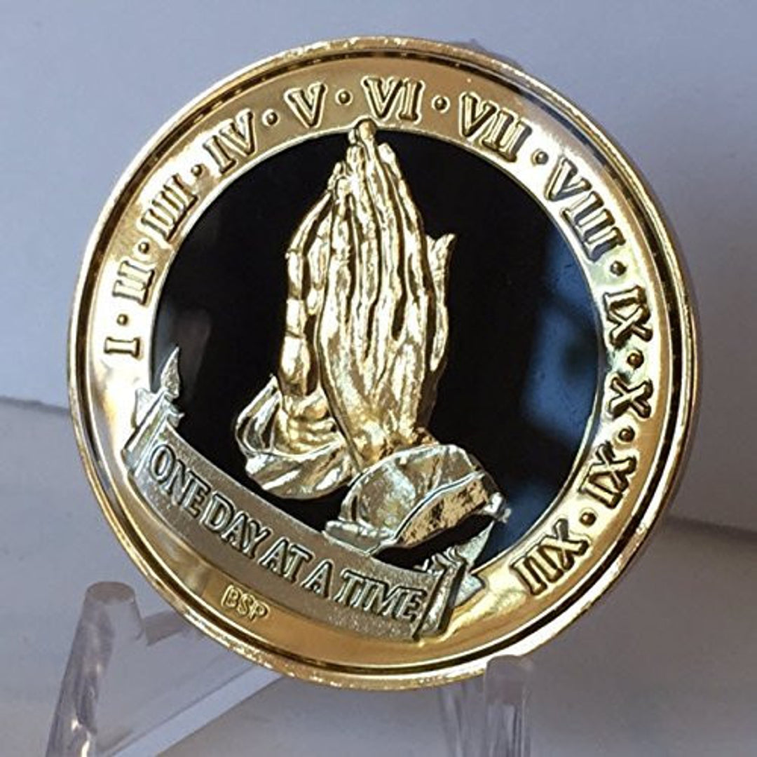 RecoveryChip.com