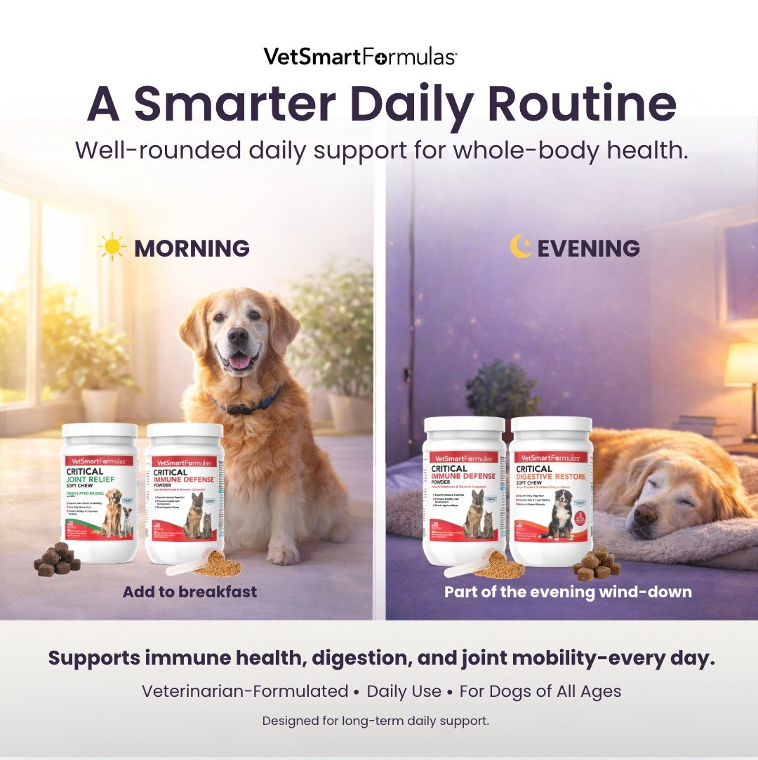 Pet Wellness Direct