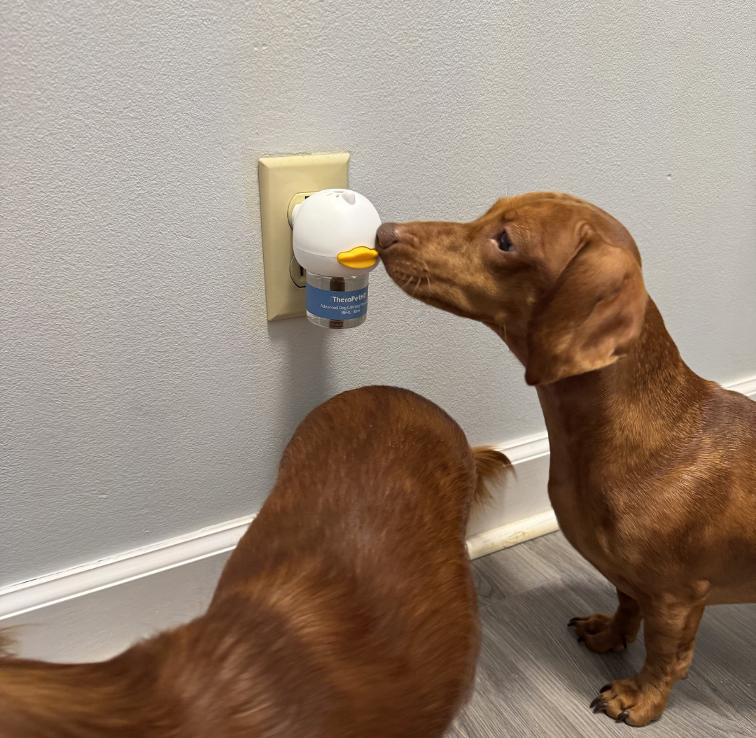 Vet approved products