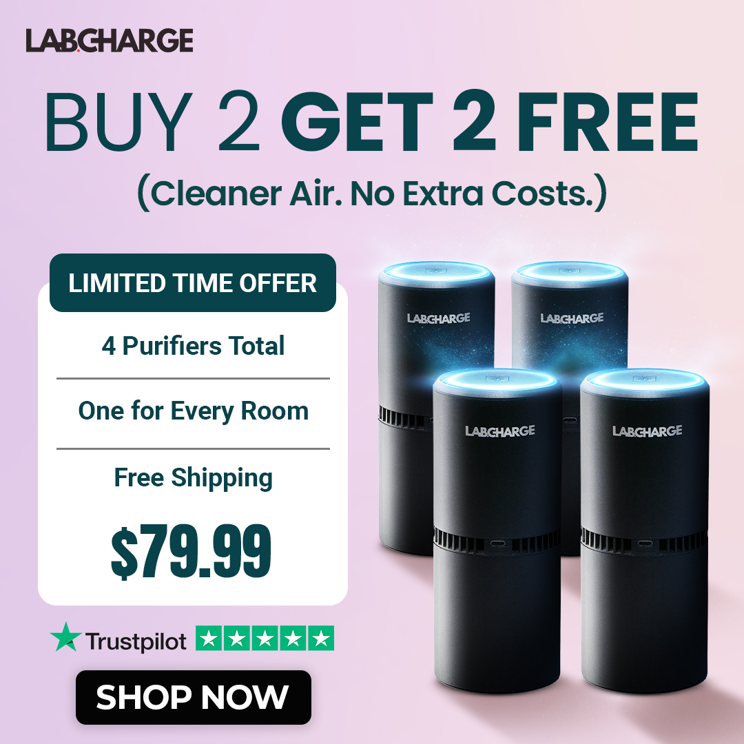 Ionic Air Purifier