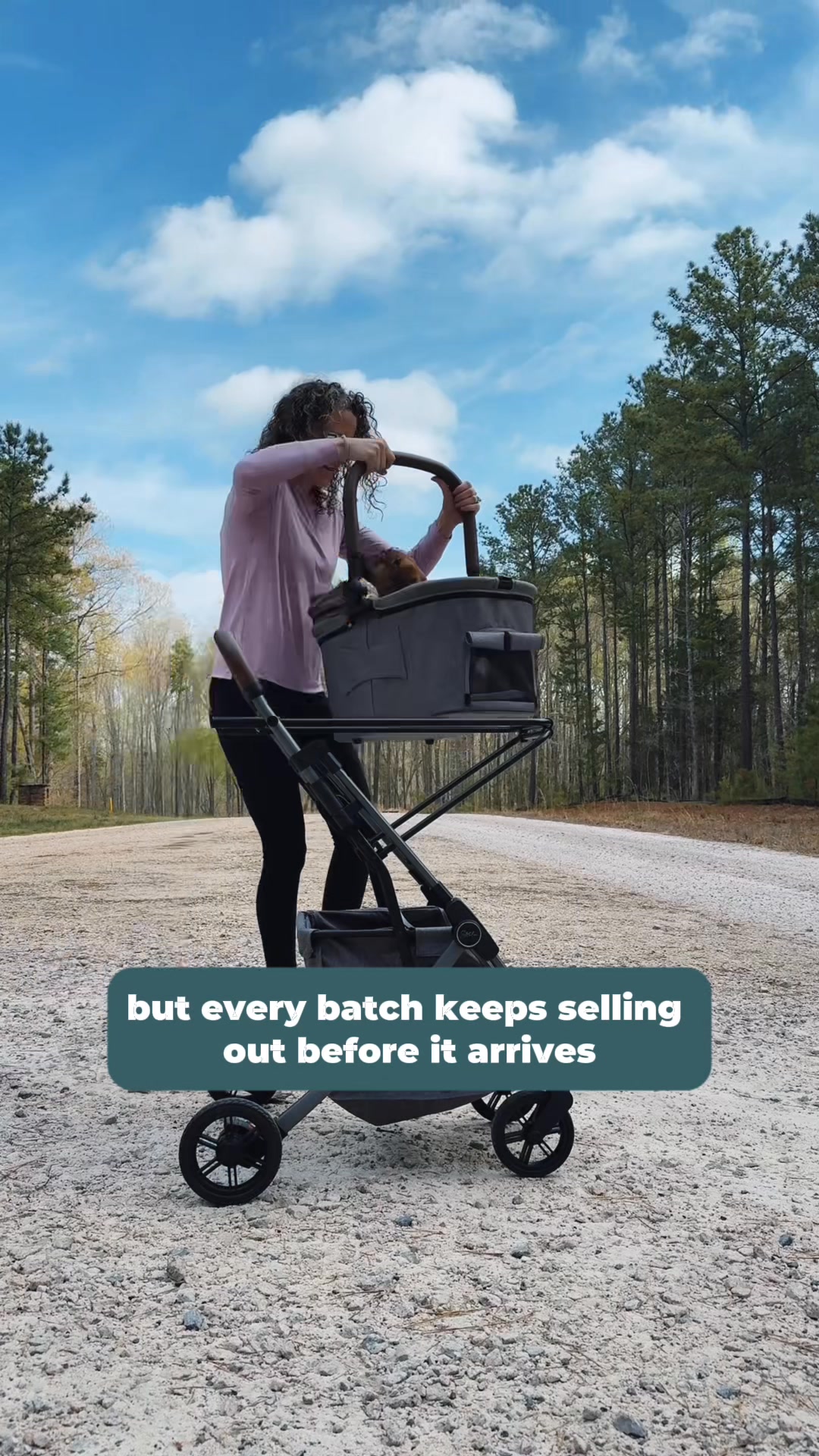 Strolee Carts