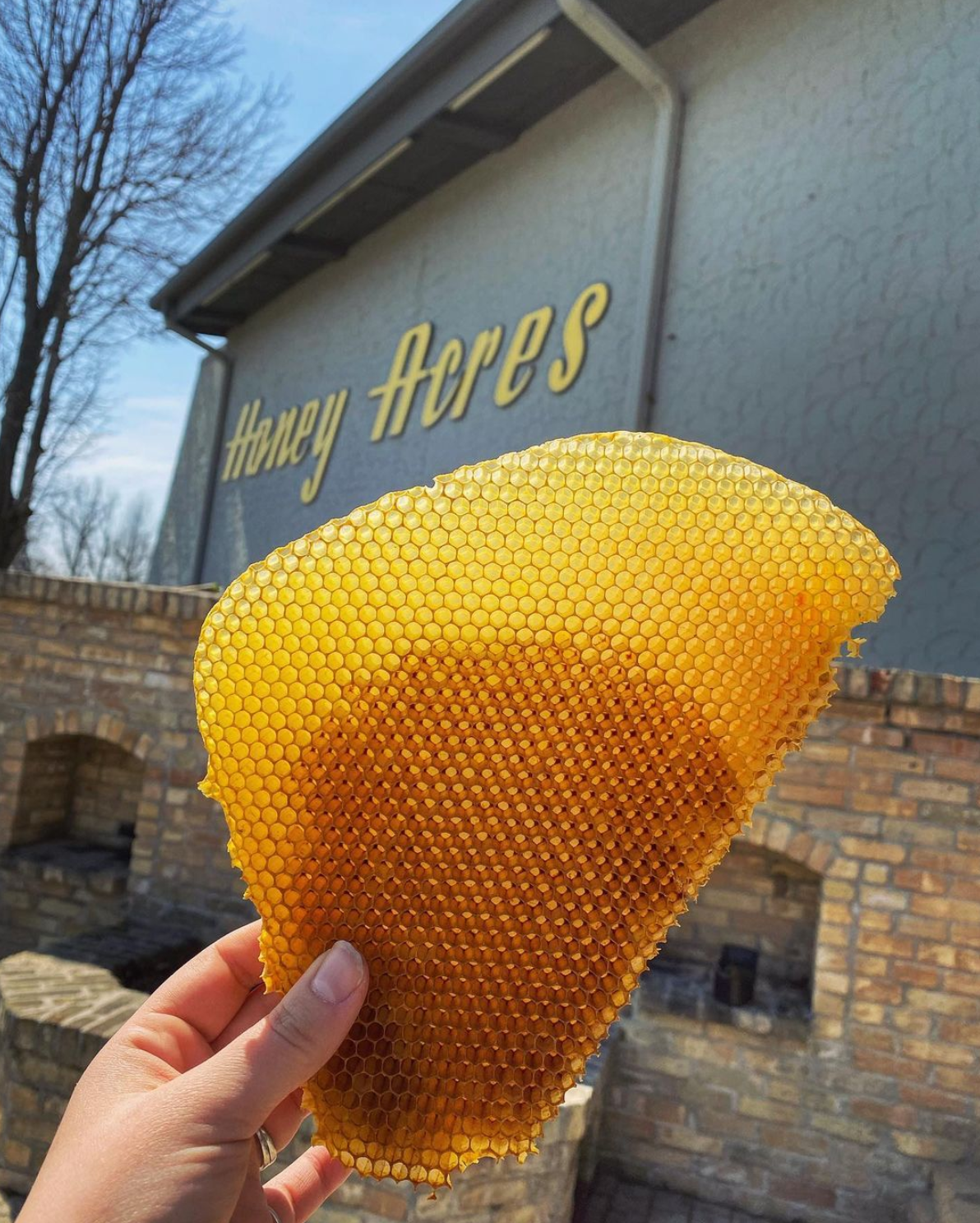 Honey Acres Inc