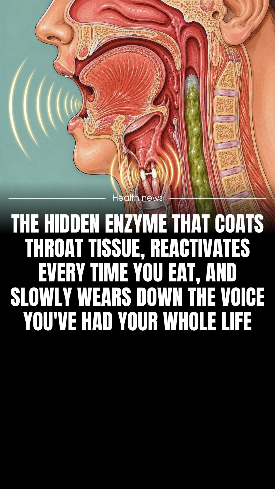 The Gut Lining Lab