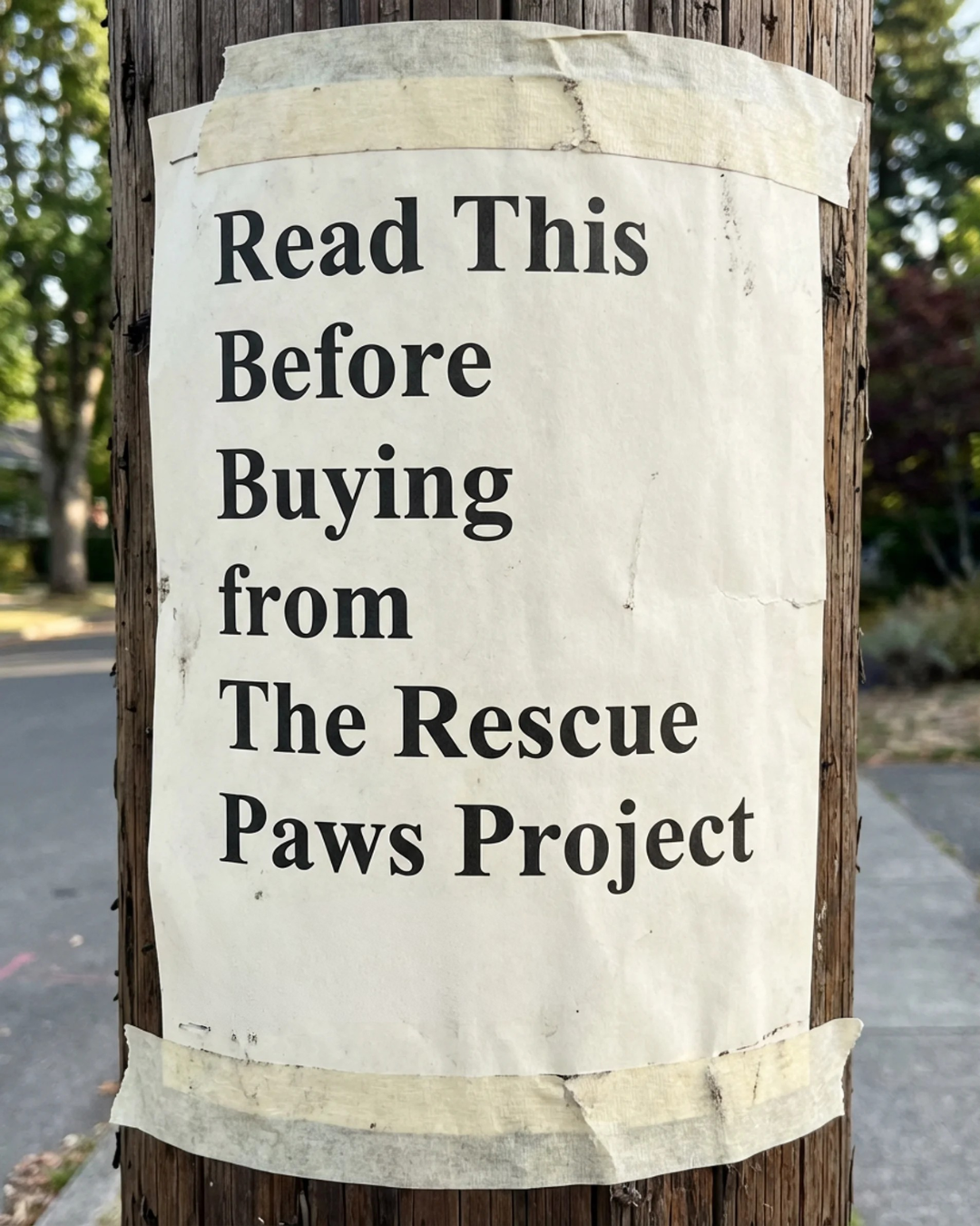 Rescue Paws
