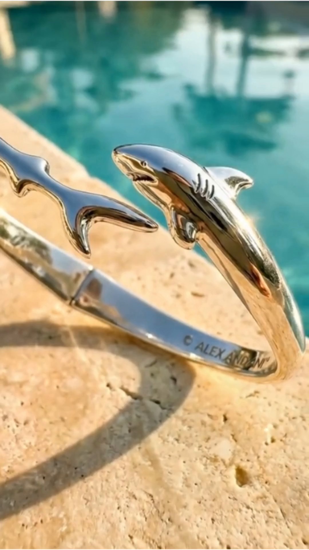 ALEX AND ANI