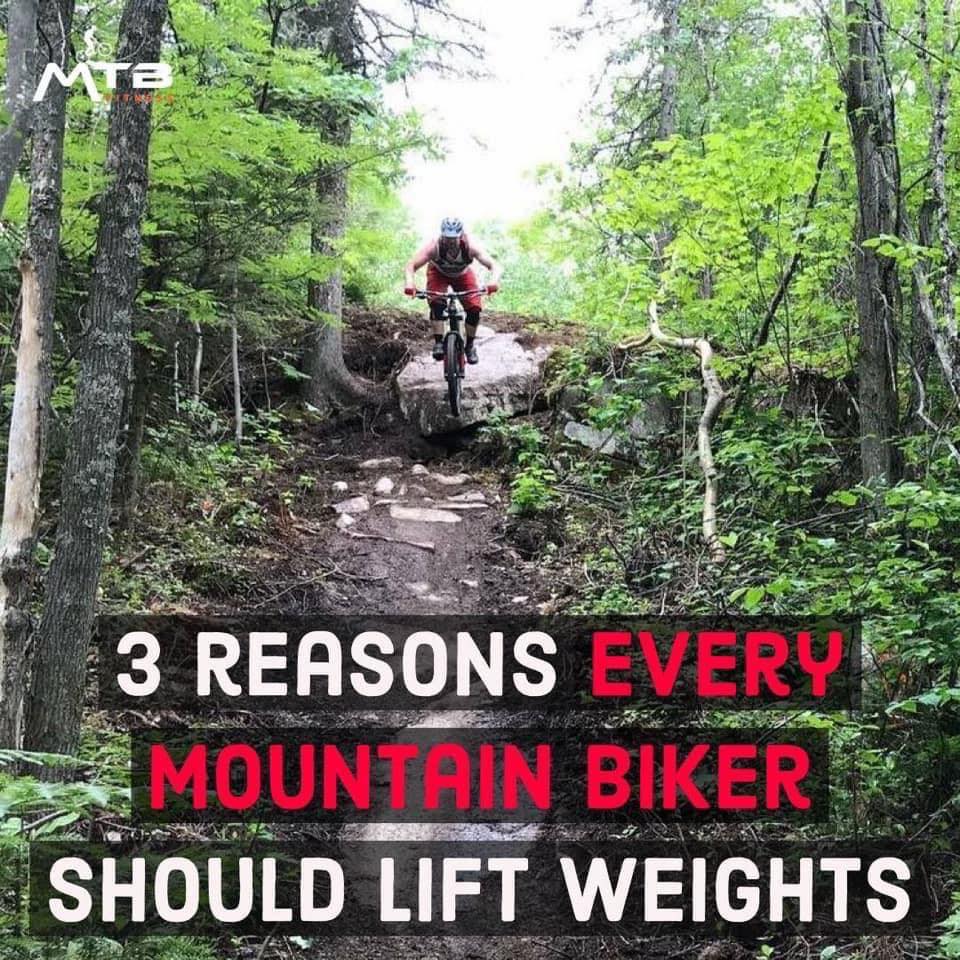 MTB Fitness