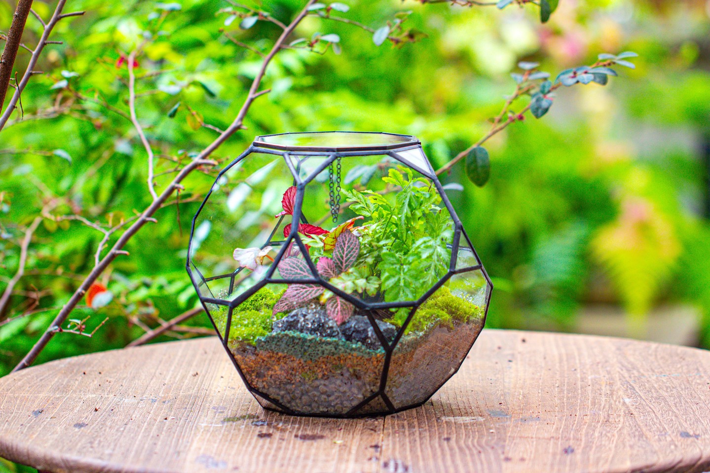 NCYPterrarium