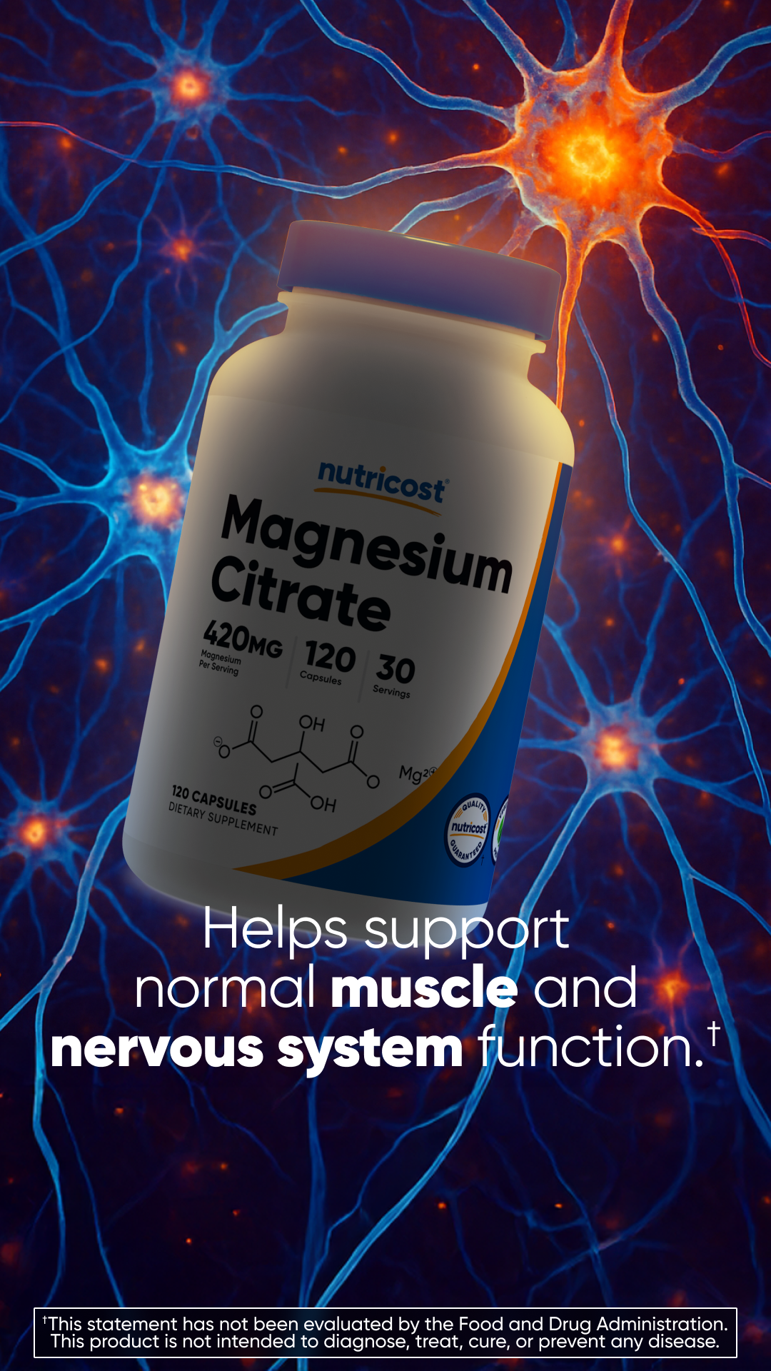 Nutricost Performance