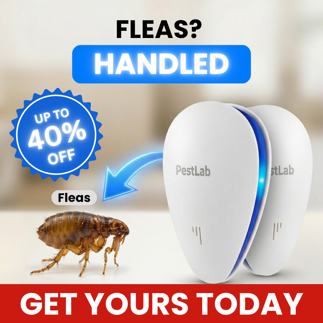 Pestlab Co