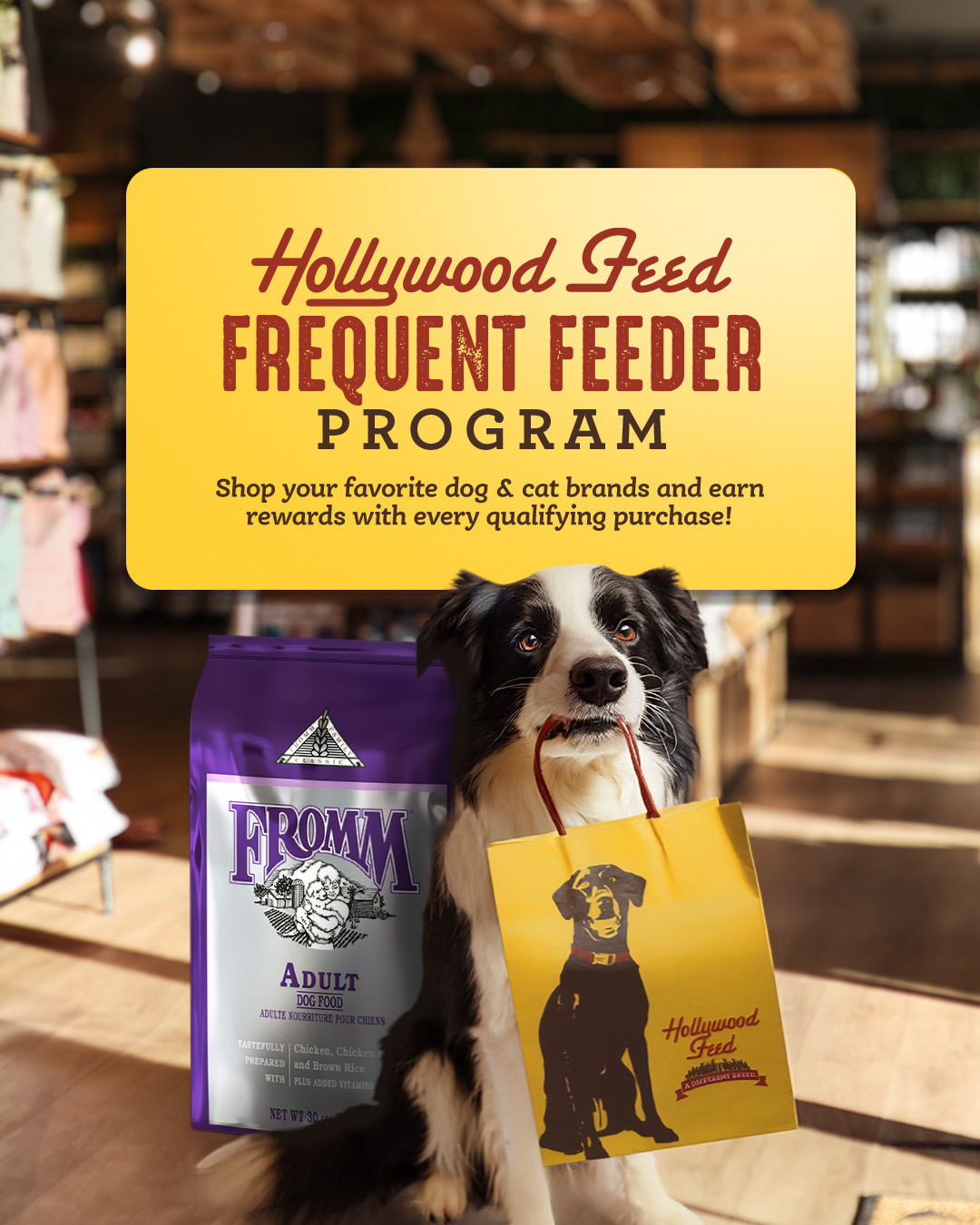 Hollywood Feed