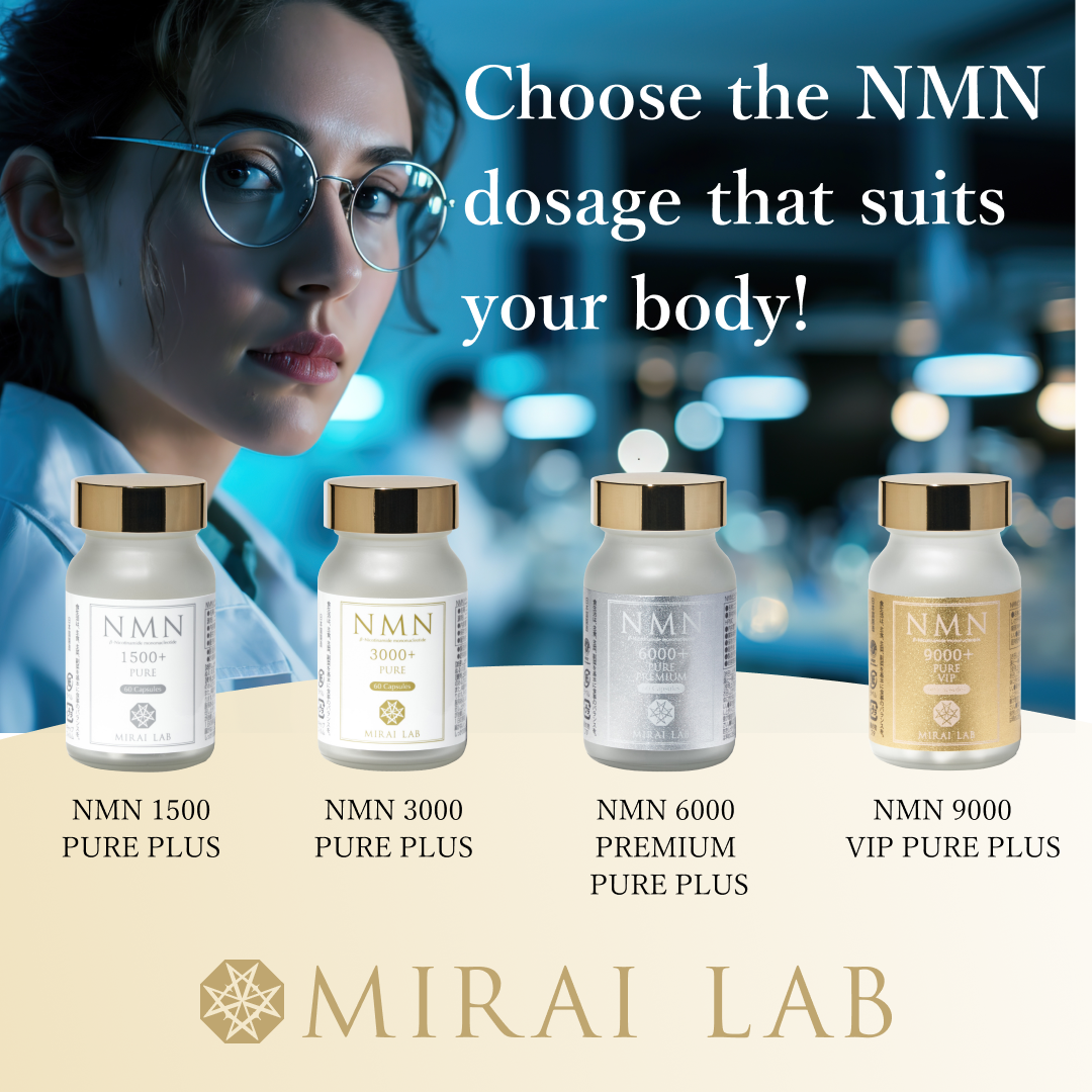 Mirailab_official_en