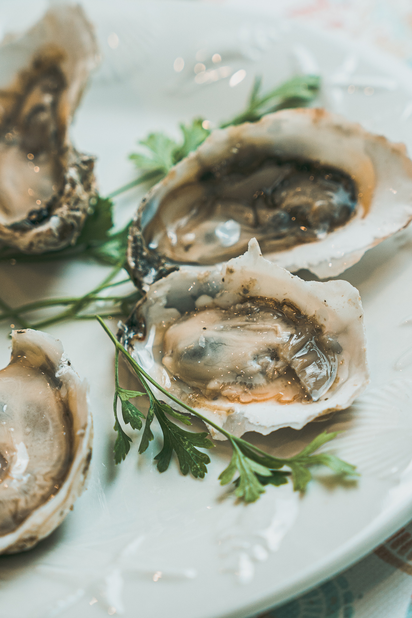 Little Wicomico Oyster Company, LLC