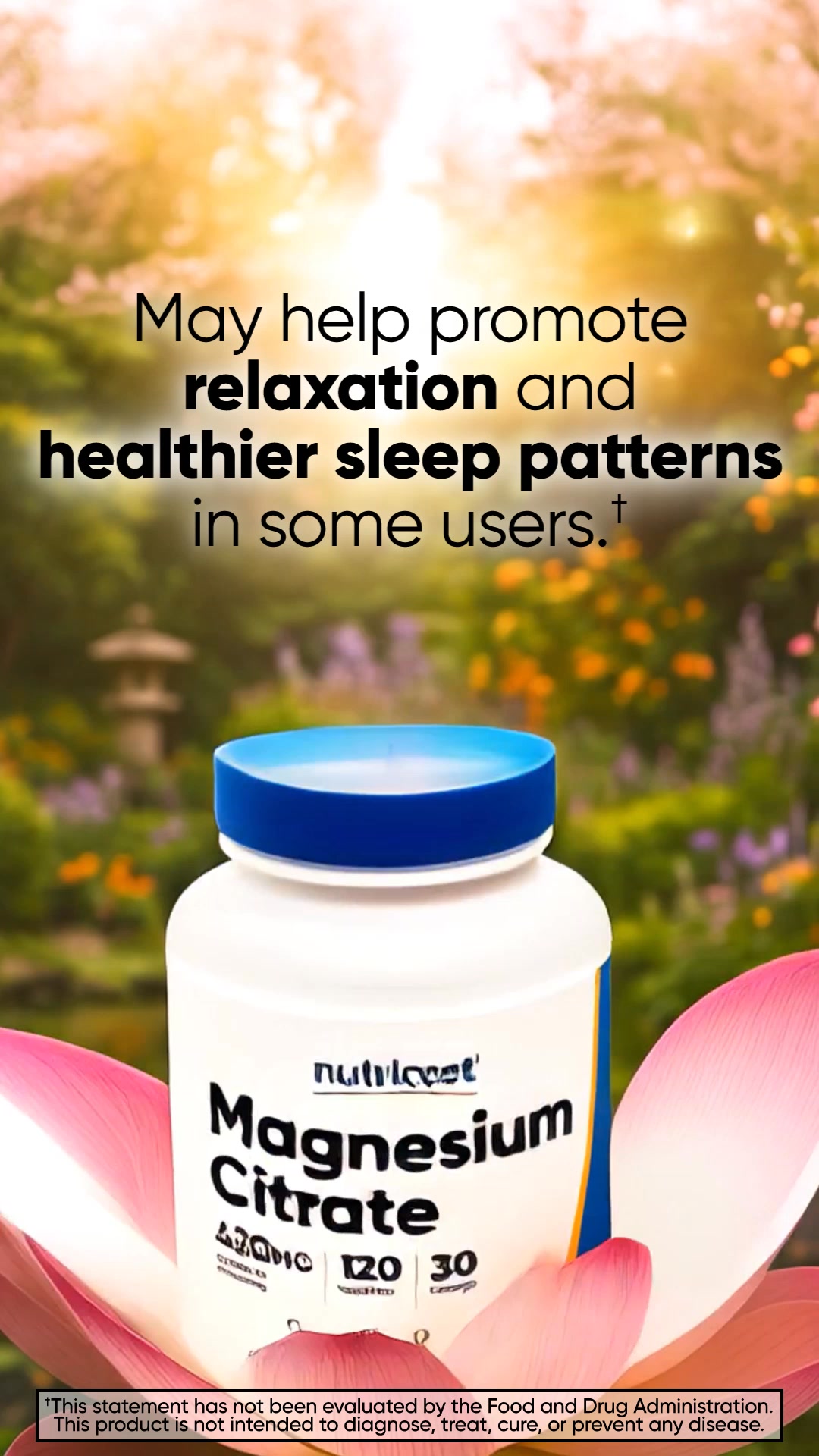 Nutricost Performance