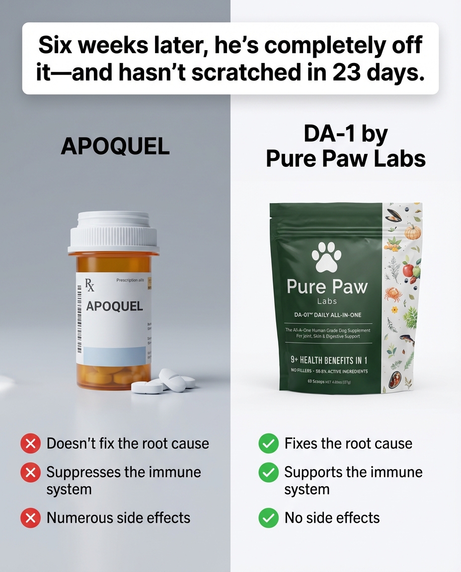 Pure Paw Labs