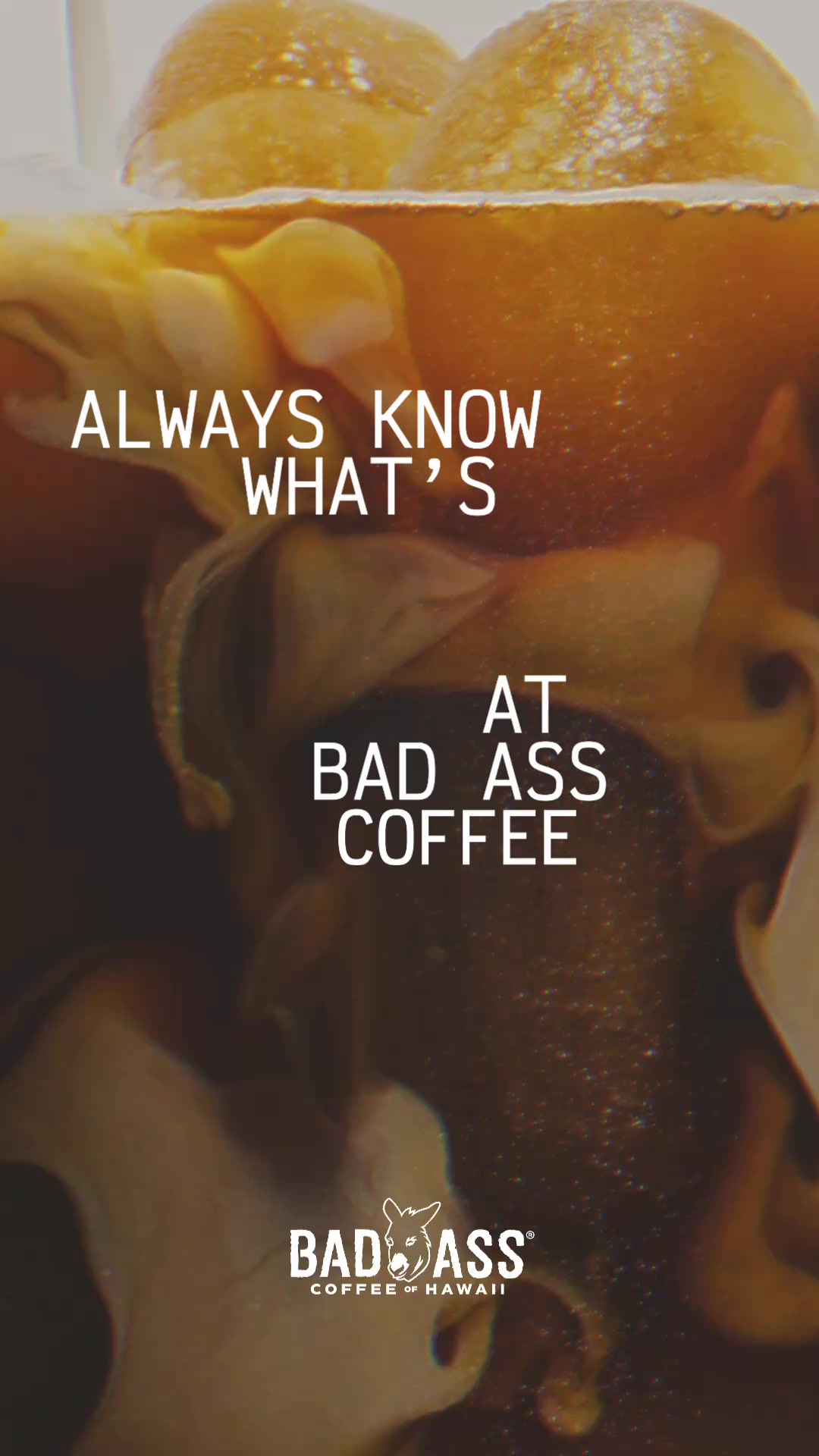 Bad Ass Coffee of Hawaii