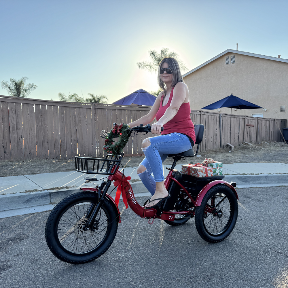 Victrip BIKES