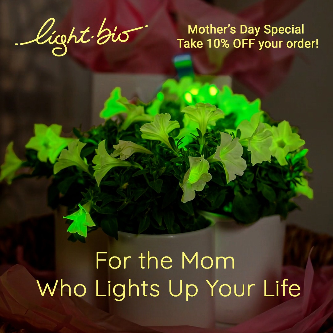 Light Bio