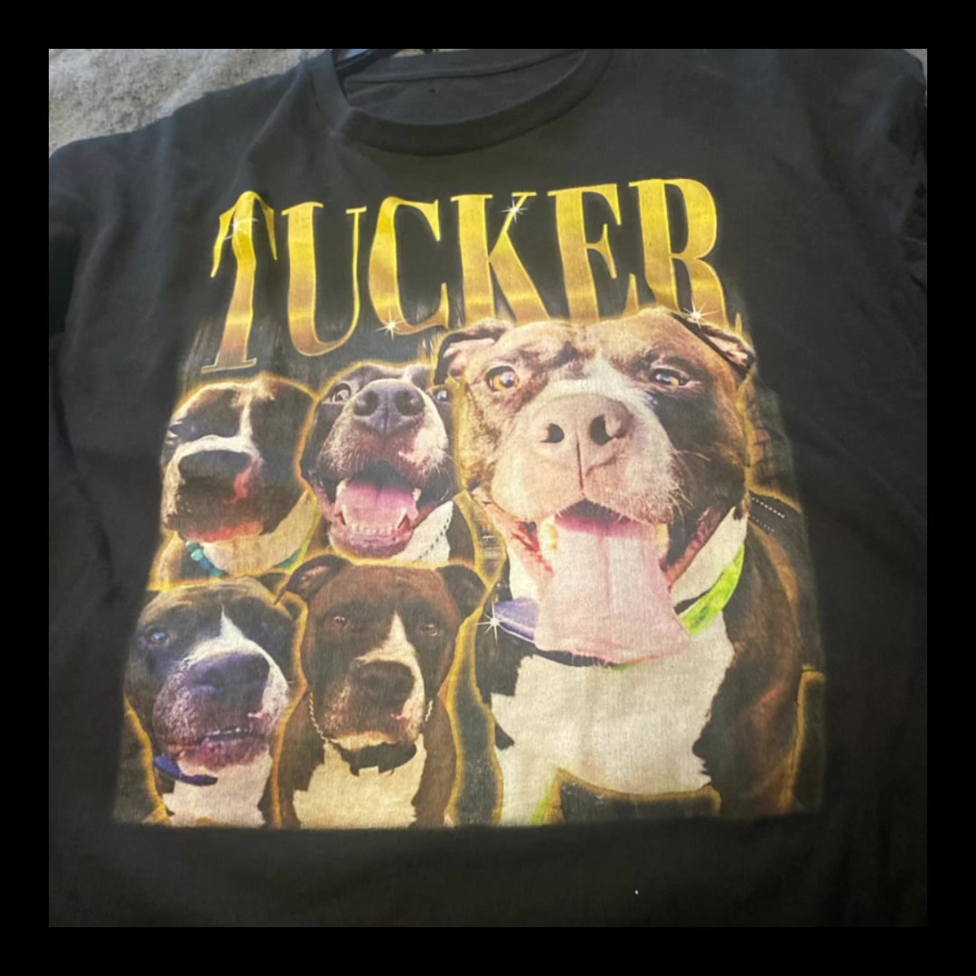 Fur-ever Friends