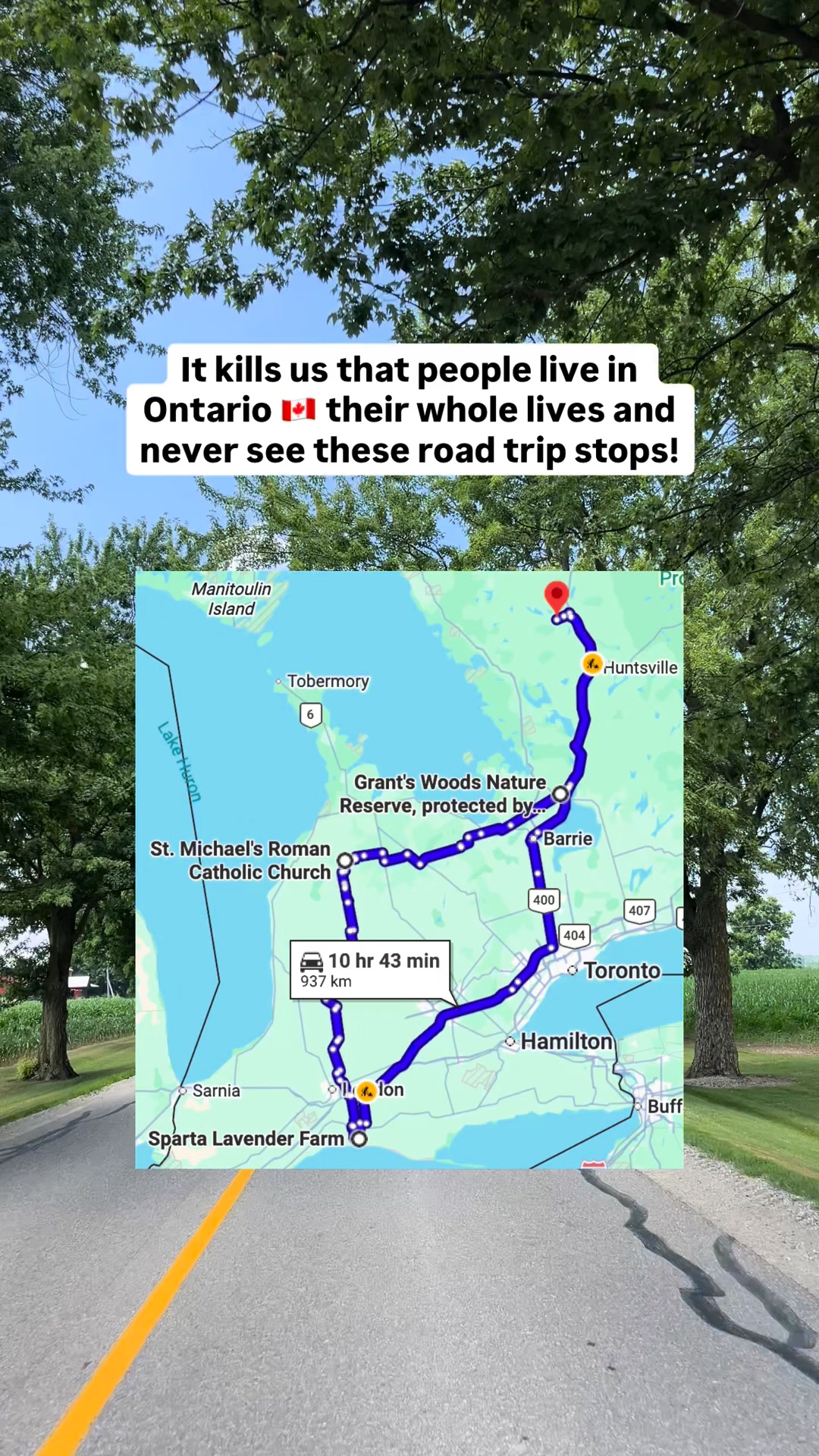 Guess Where Trips