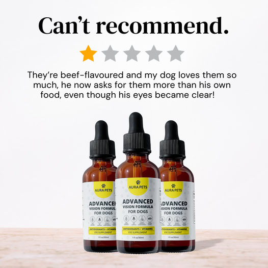 AuraPets Vision Essentials
