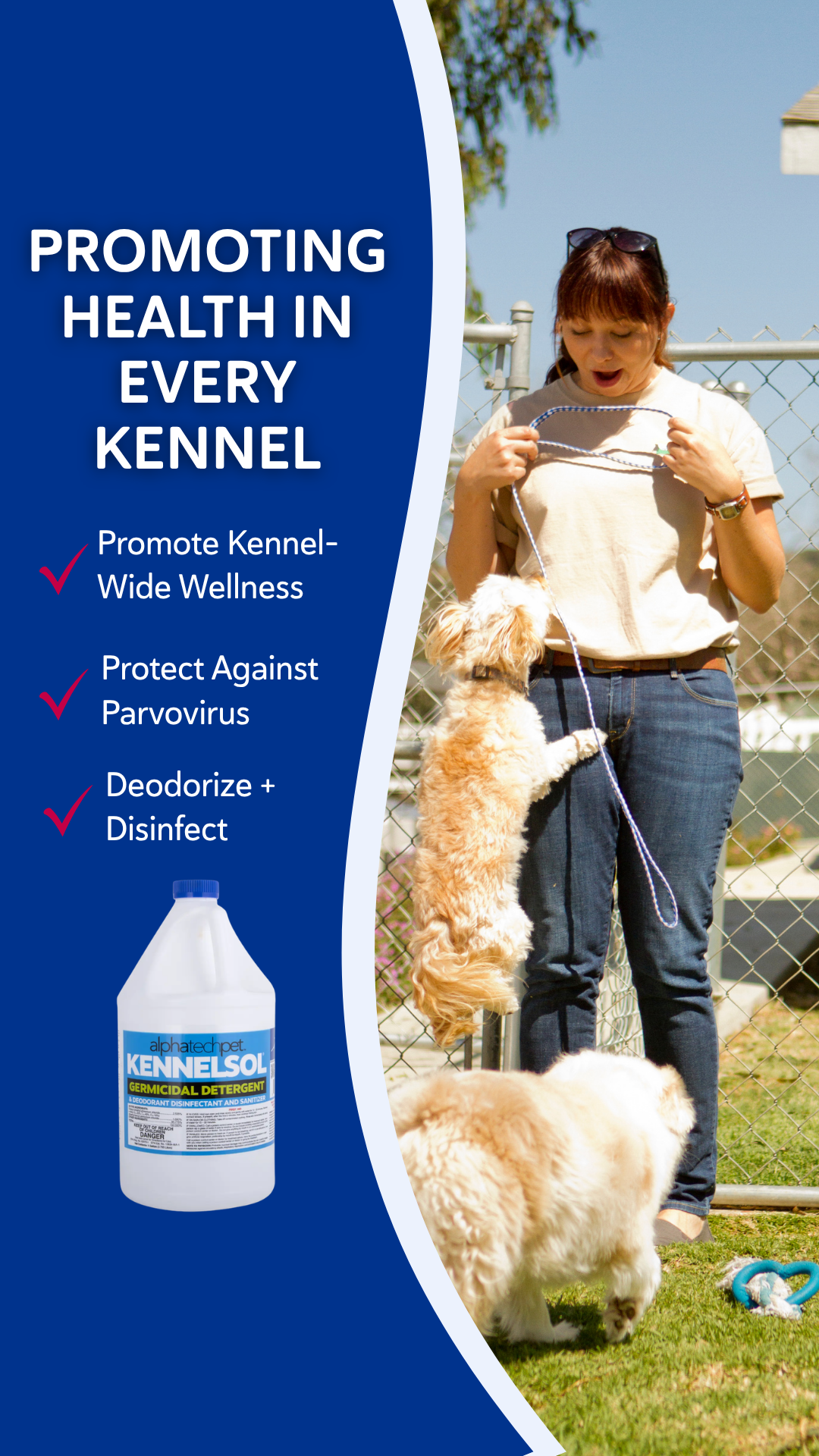 Revival Animal Health