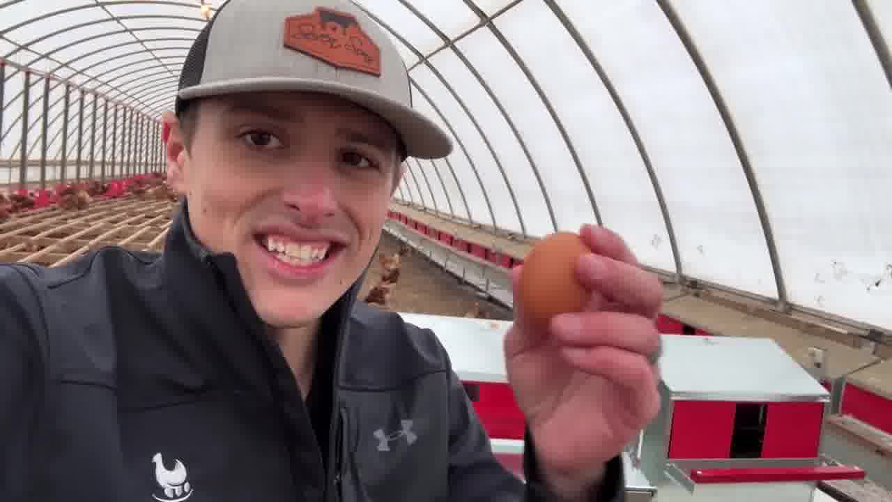 HenGear Rollout Nest Boxes