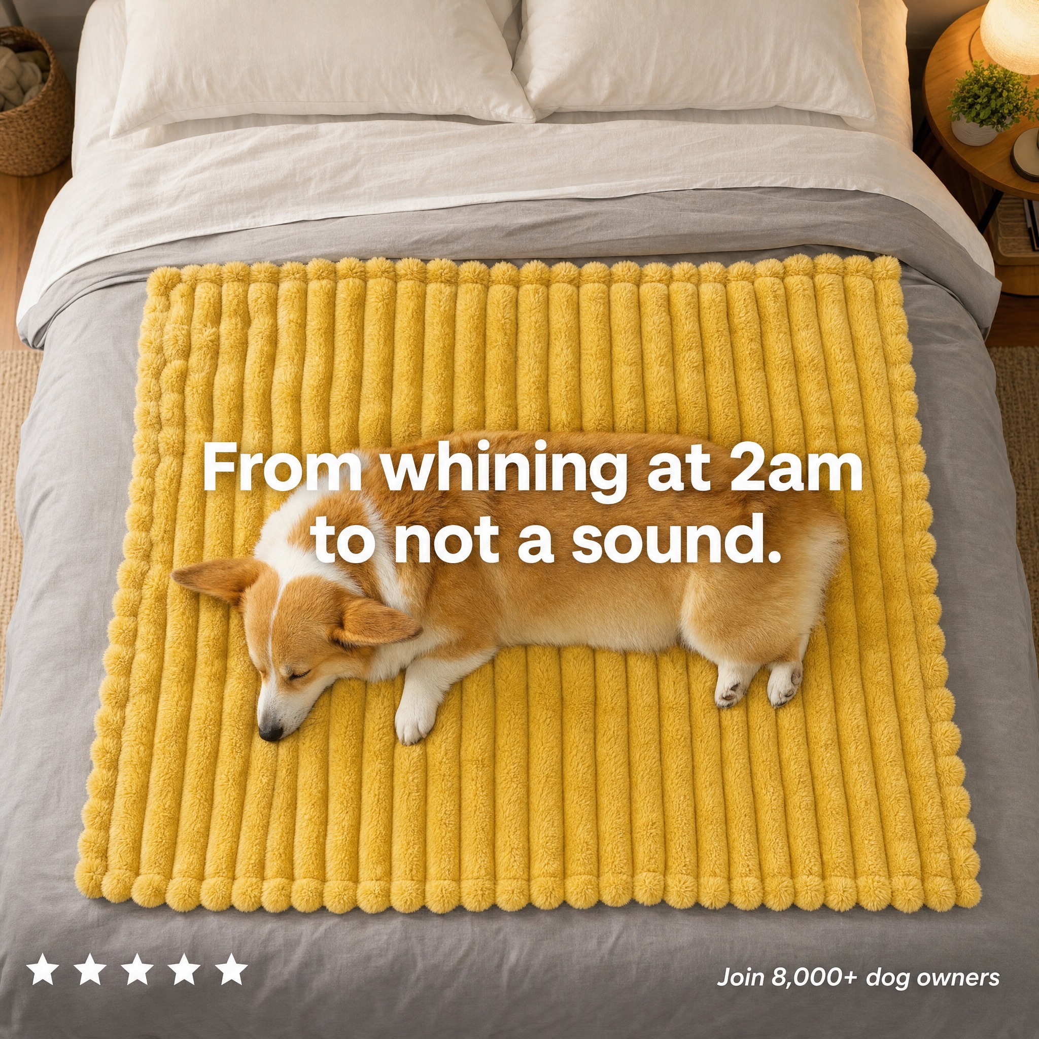 Dog is king
