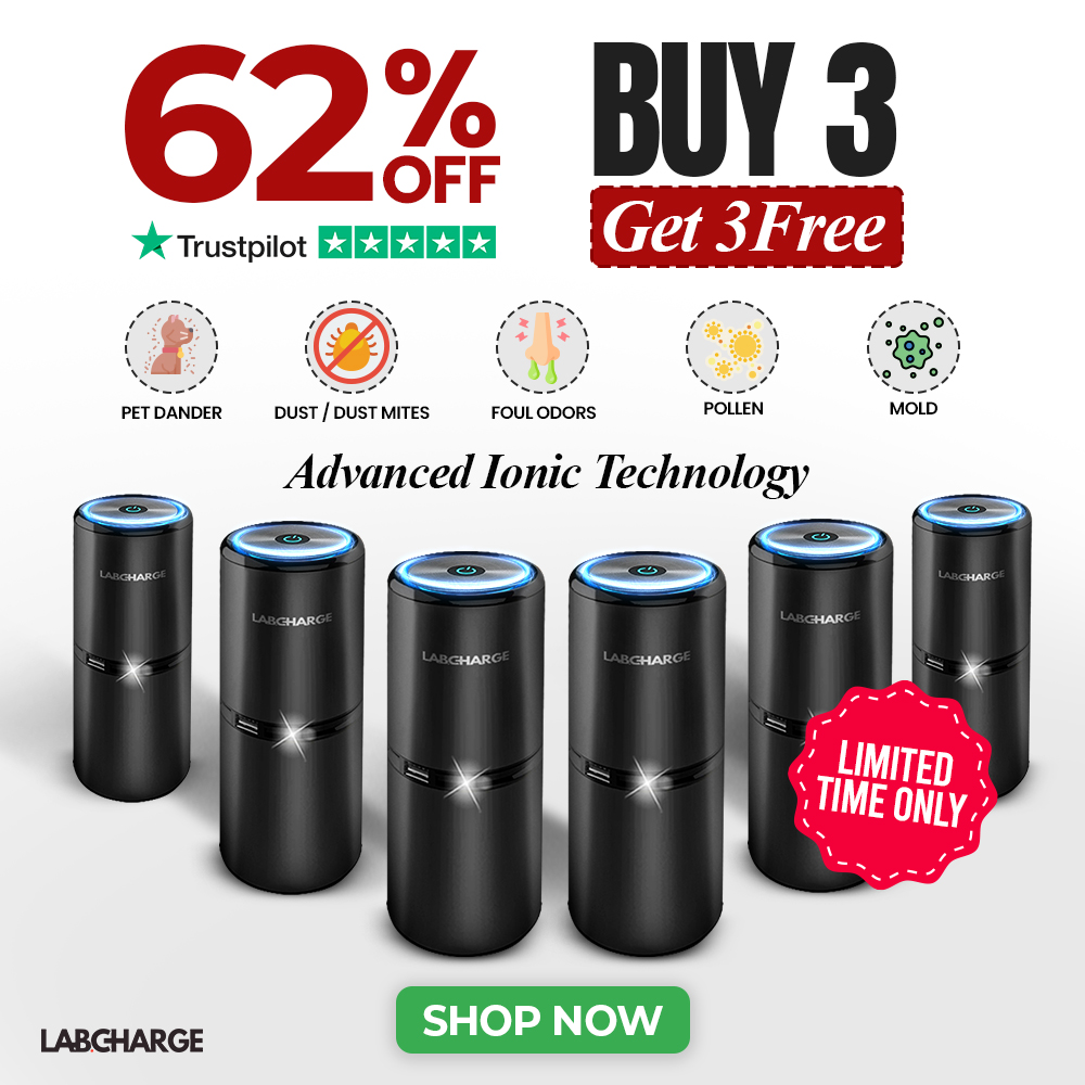 Ionic Air Purifier