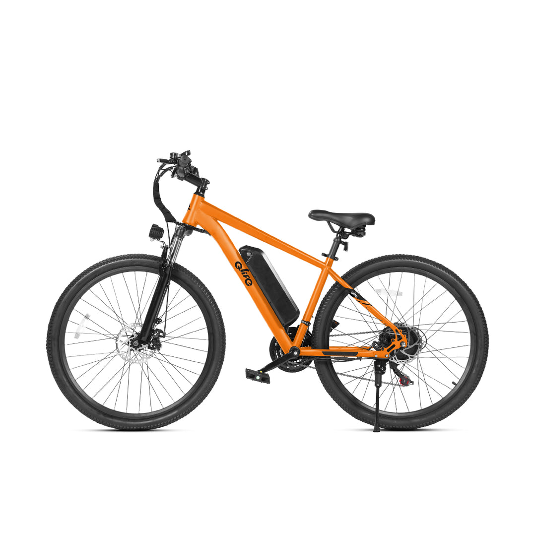 Qlife ebike