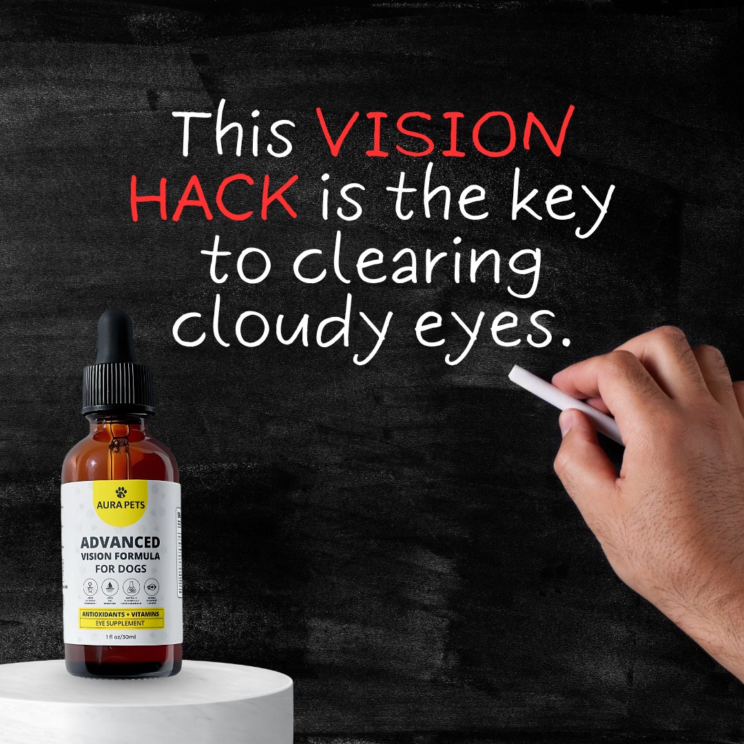 AuraPets Vision Essentials
