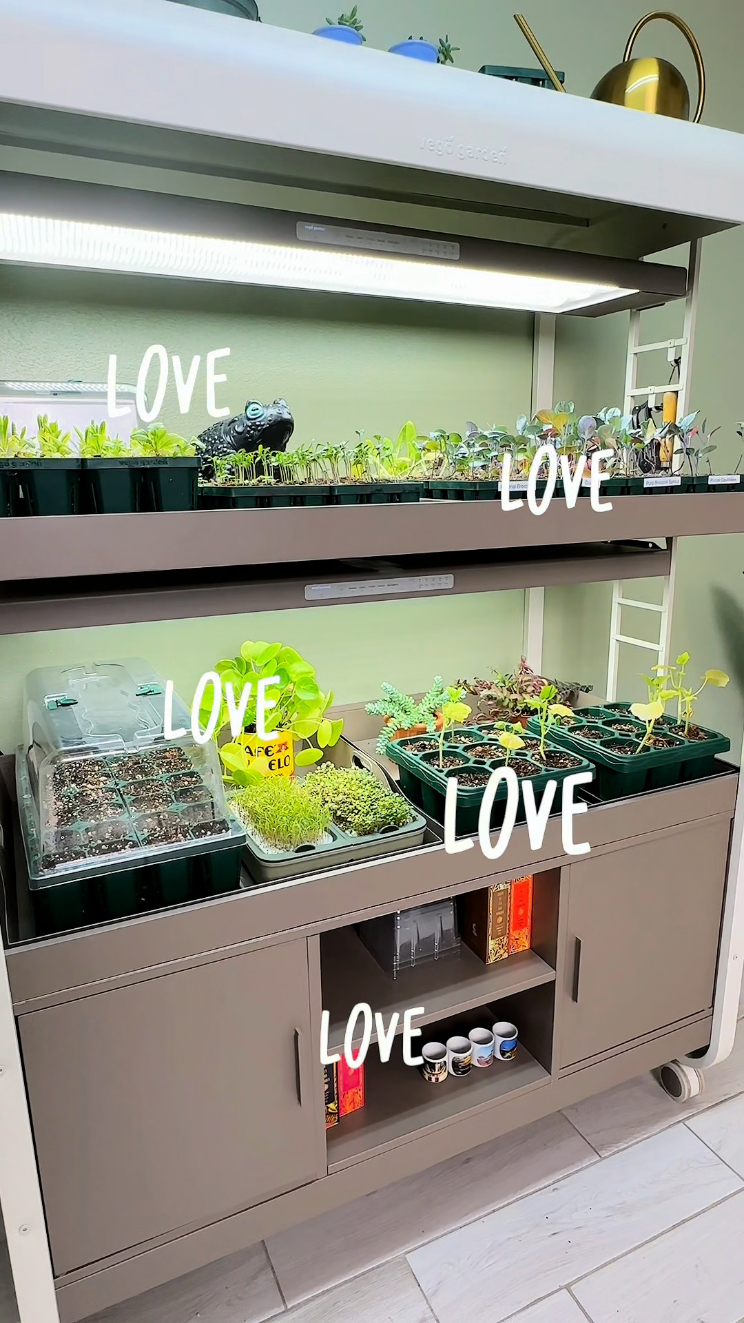 Vego Garden
