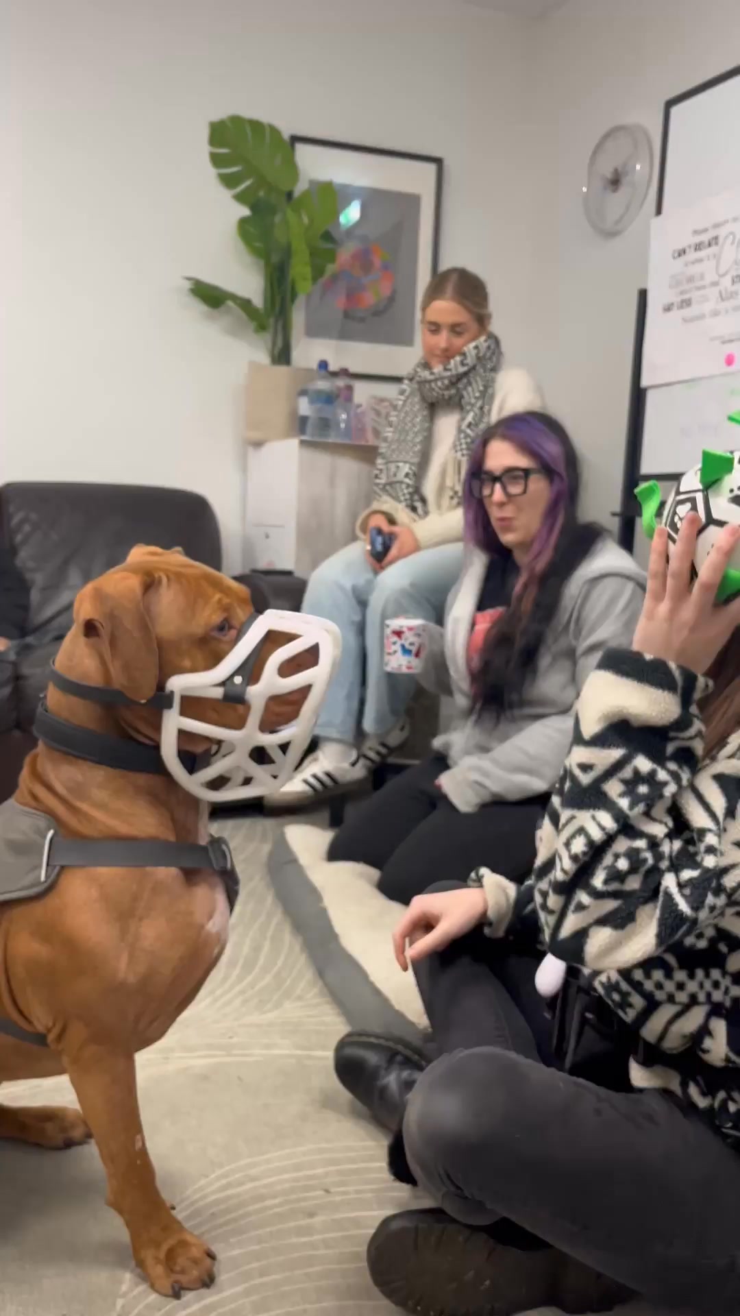 The Muzzle Movement