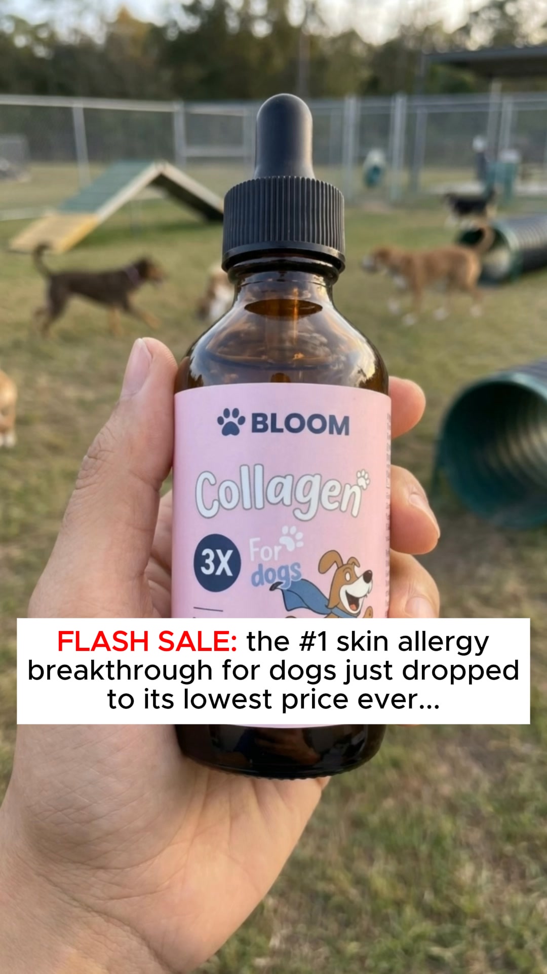 BloomPet