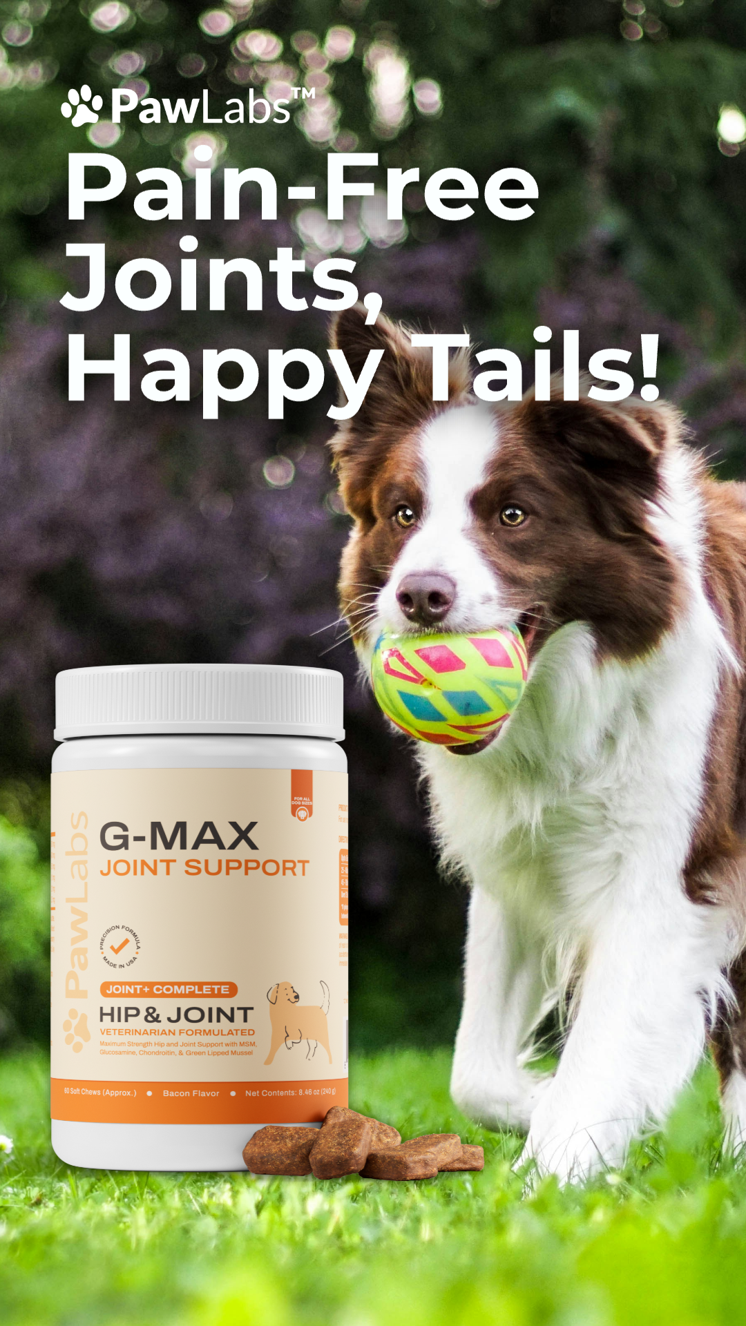 PawLabs