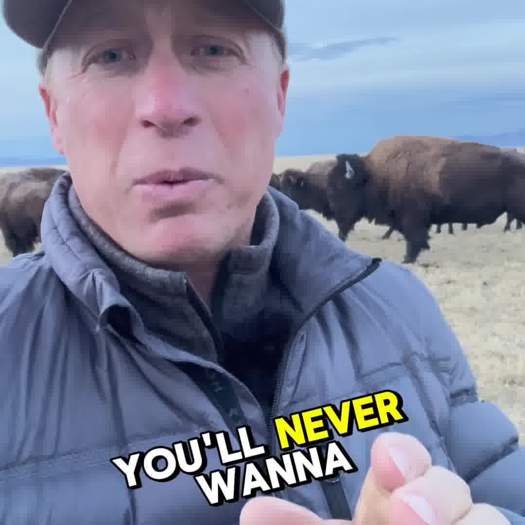 Miller Bison
