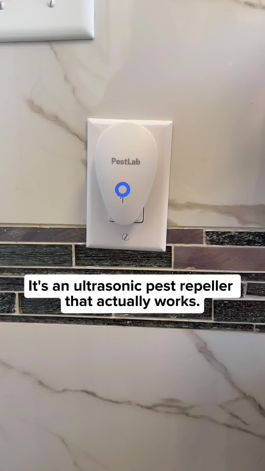 Pestlab Co