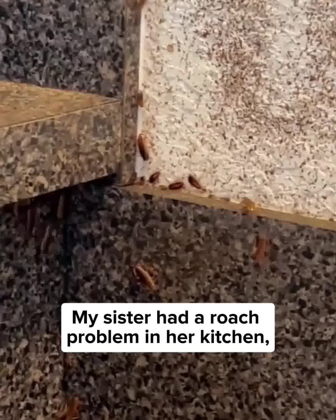 PestLab