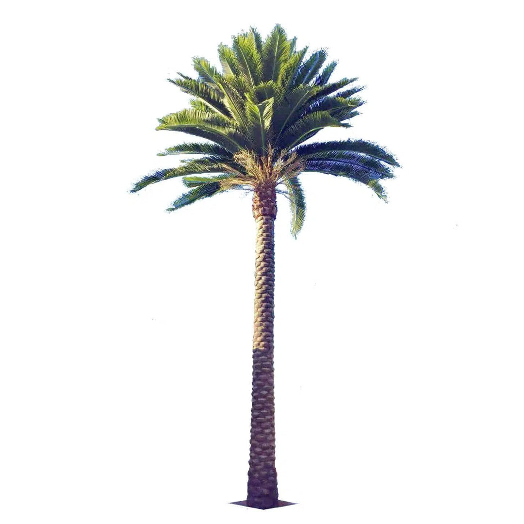 Designer Plants USA
