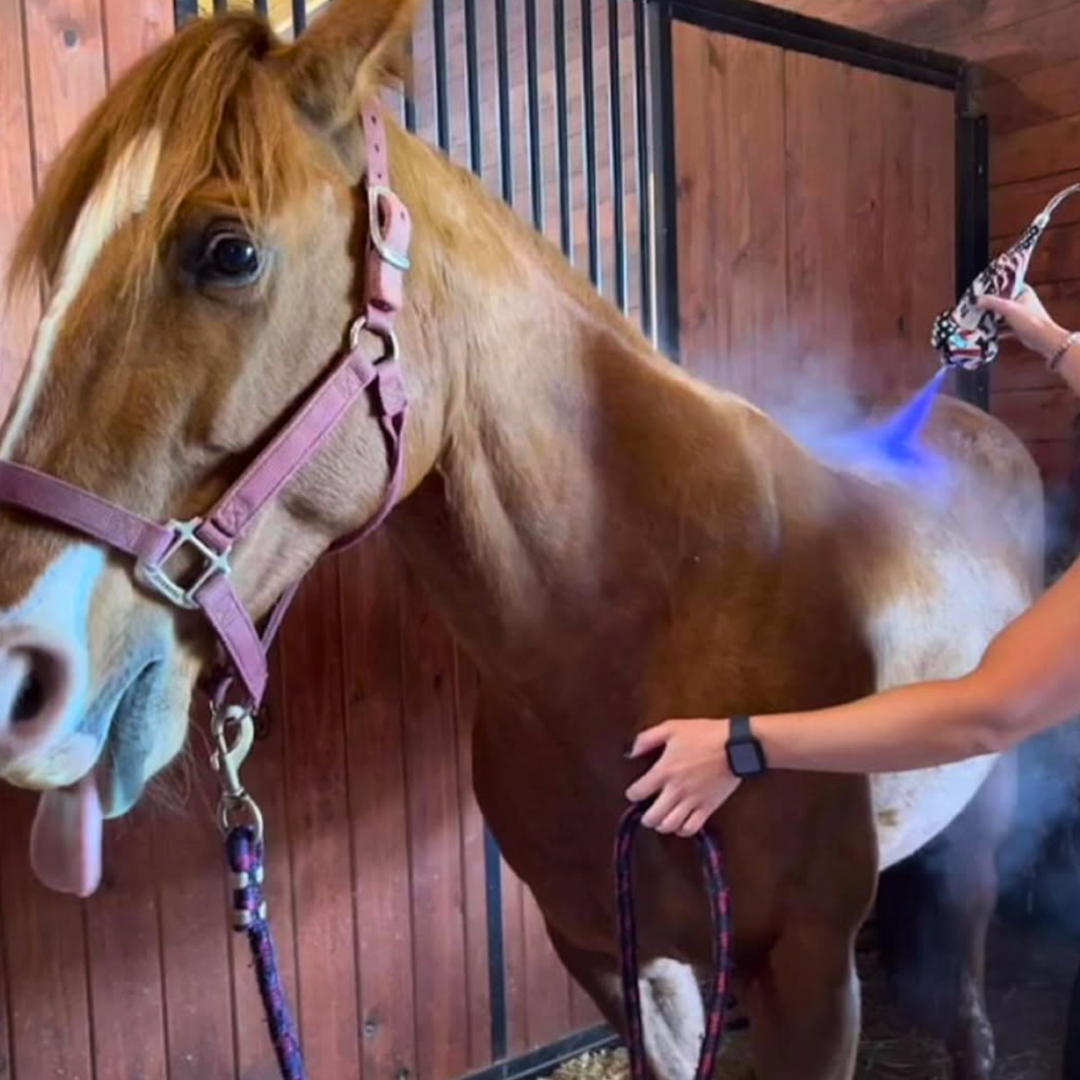 Precision Equine Cryotherapy