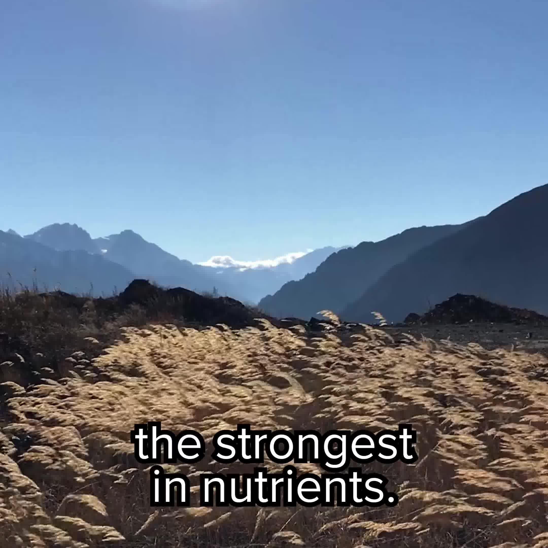 Frøya Organics