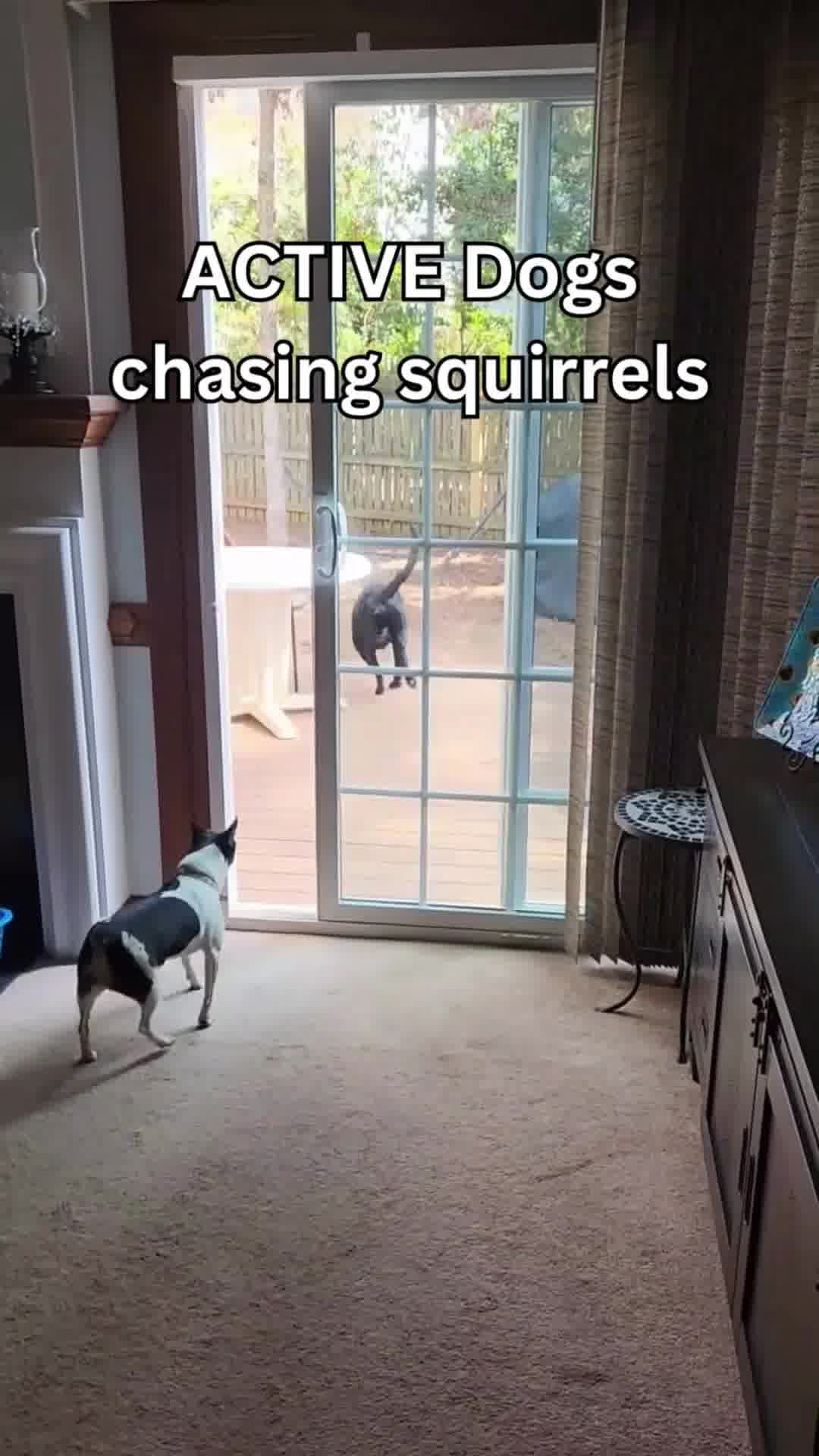 LycheeThings