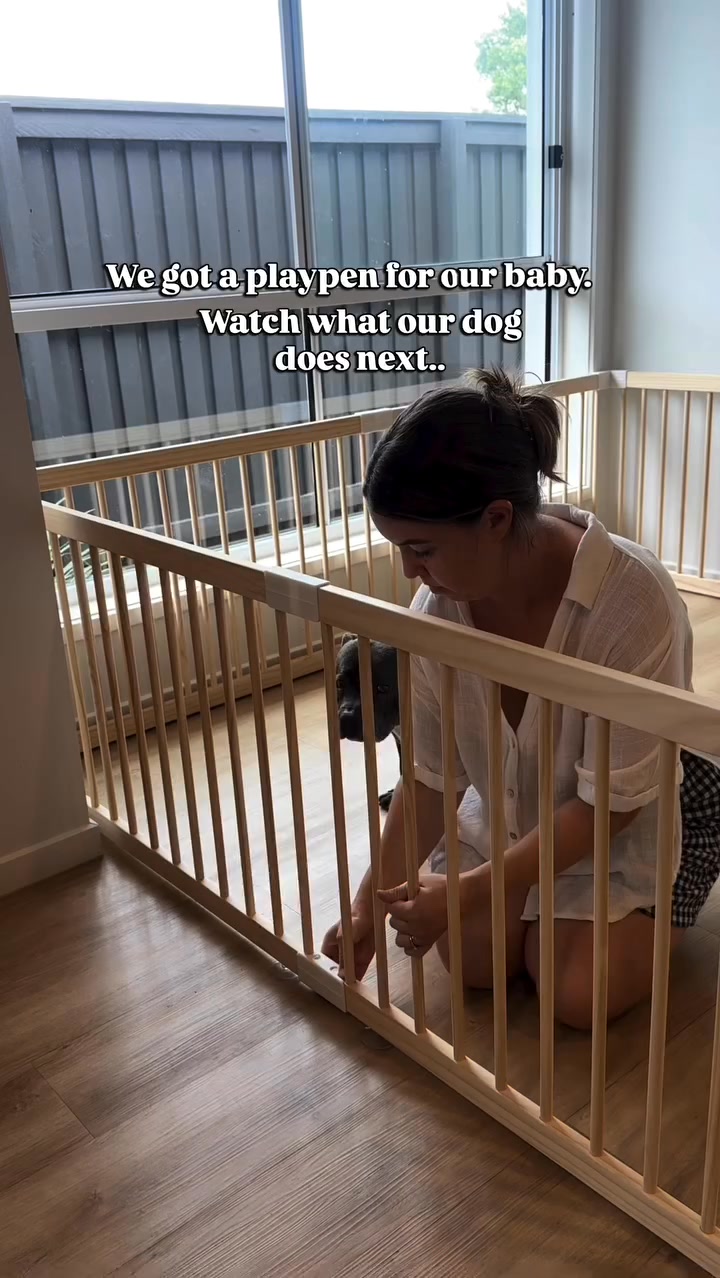 harppababy