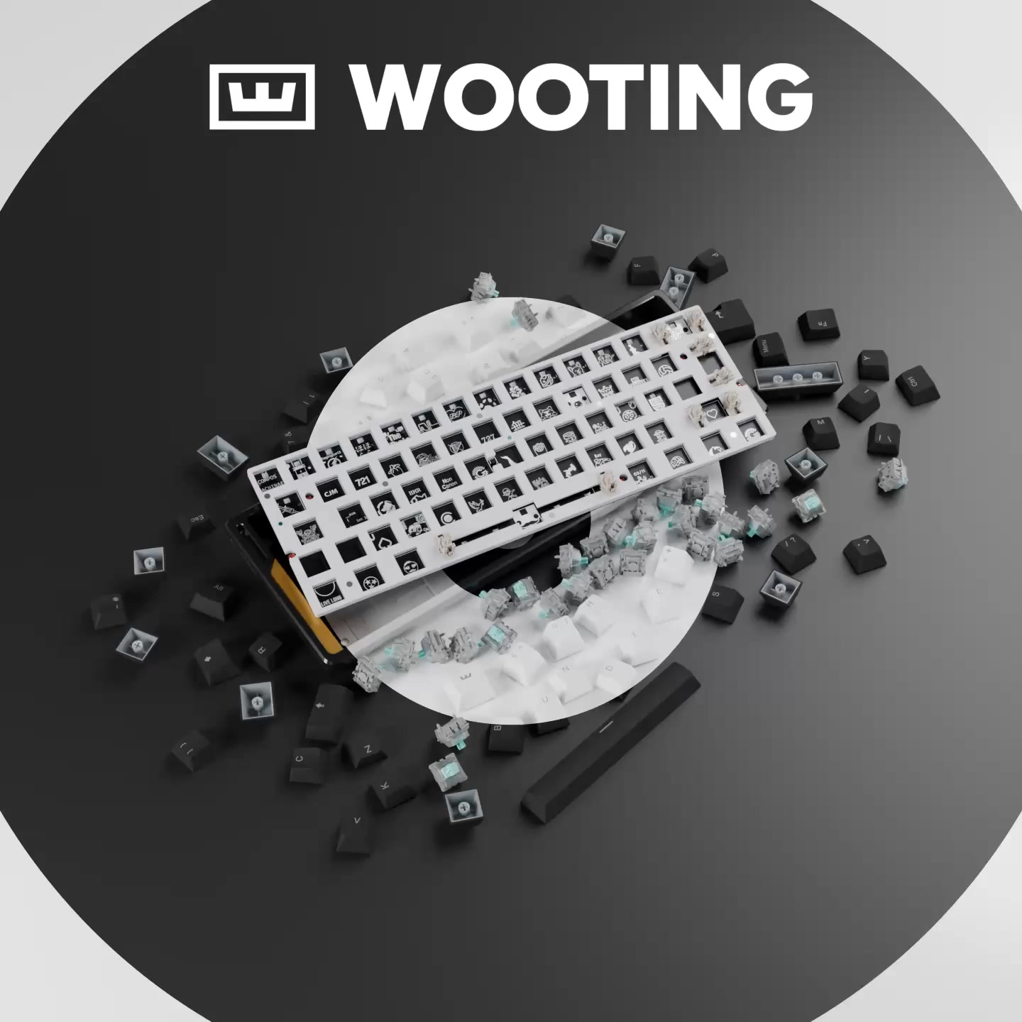 Wooting