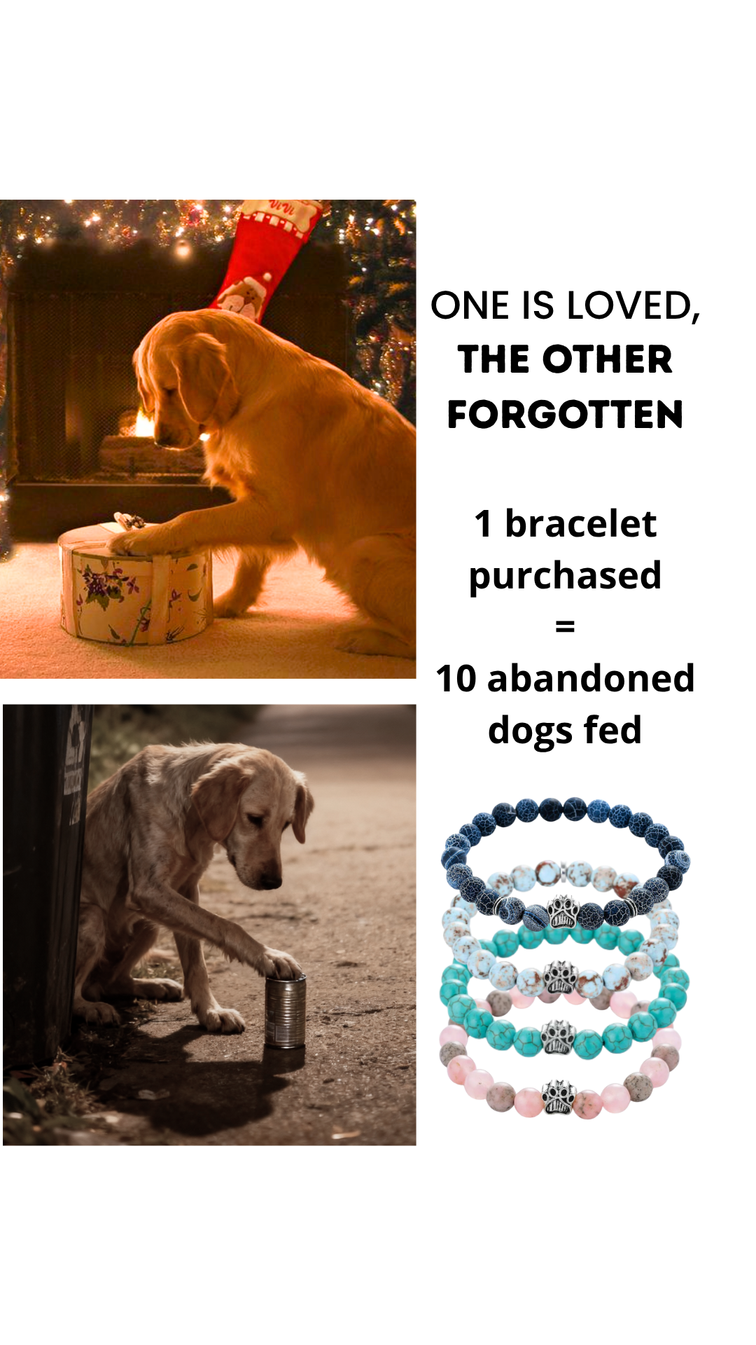 Rescue Paws
